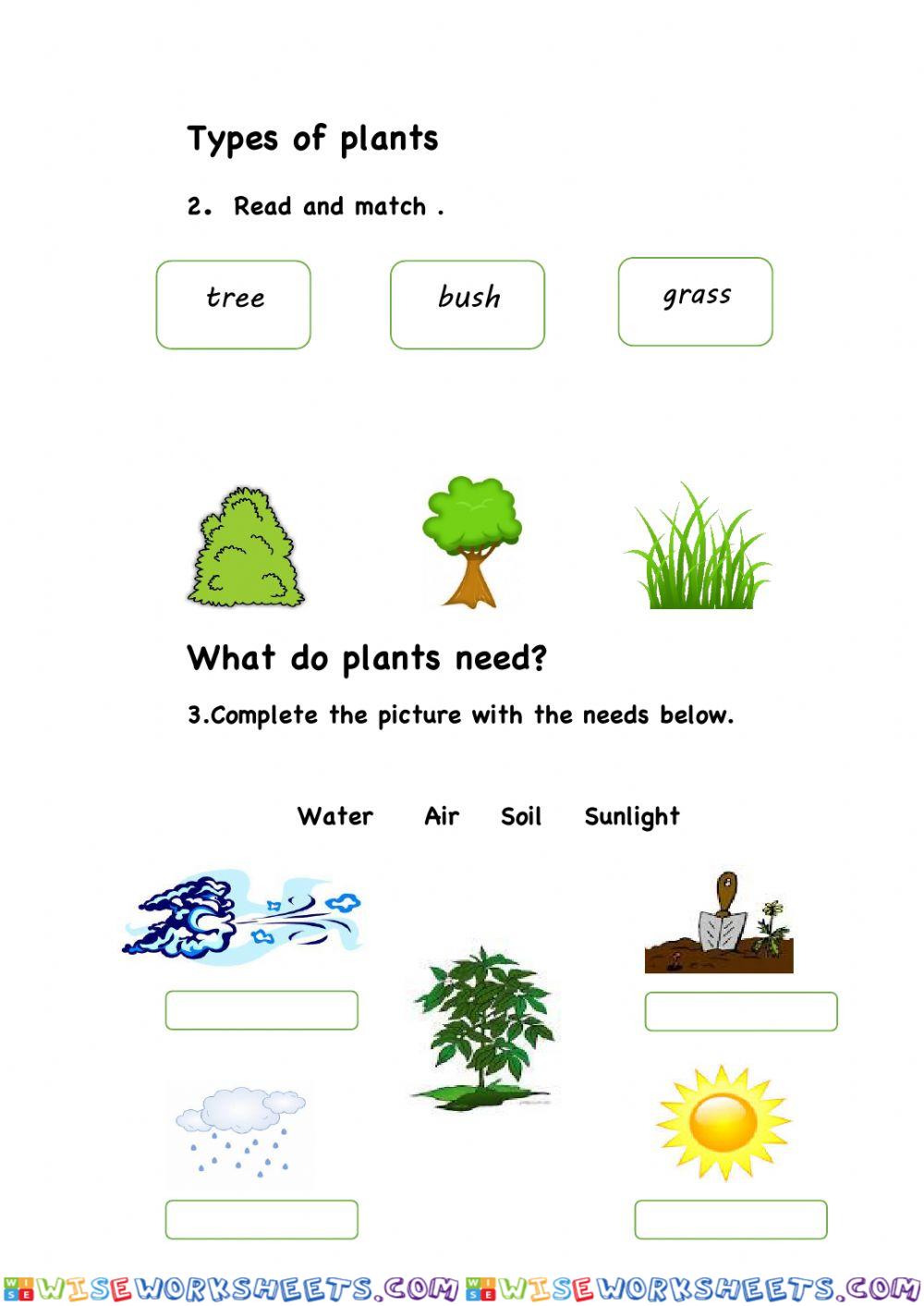 worksheet