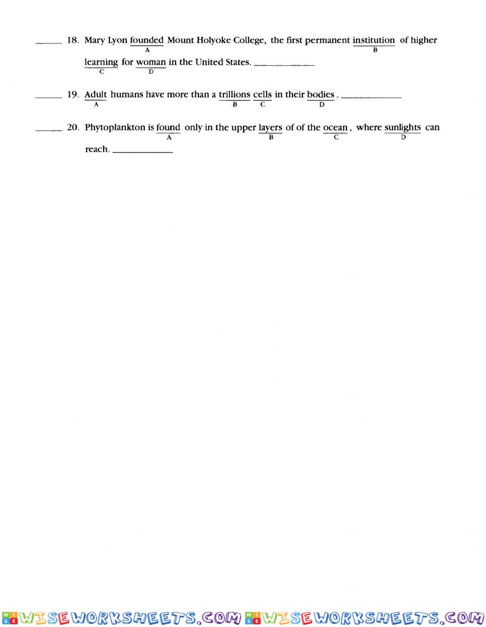 worksheet