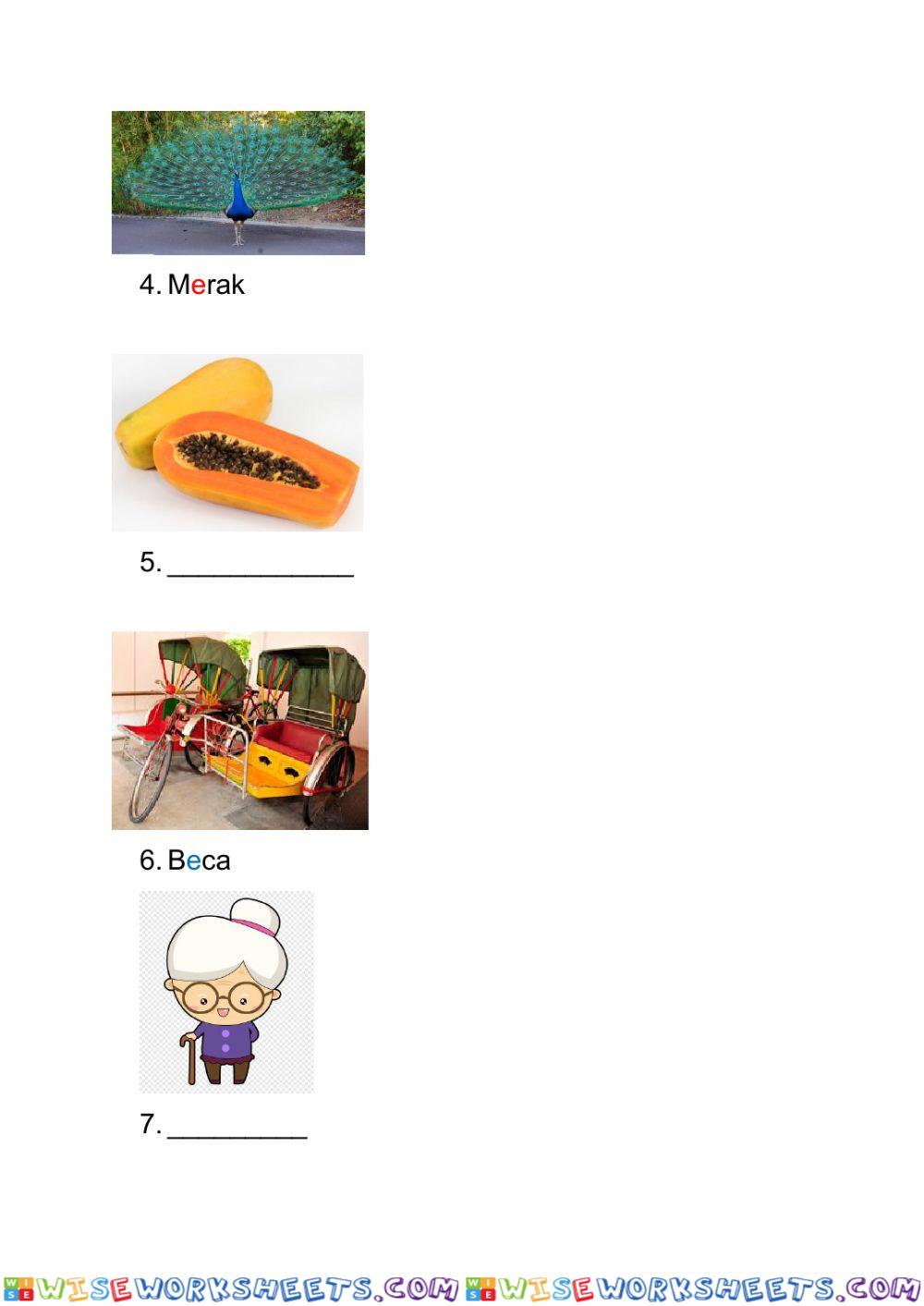 worksheet
