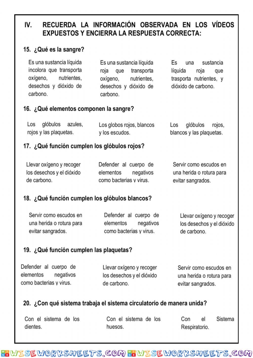 worksheet