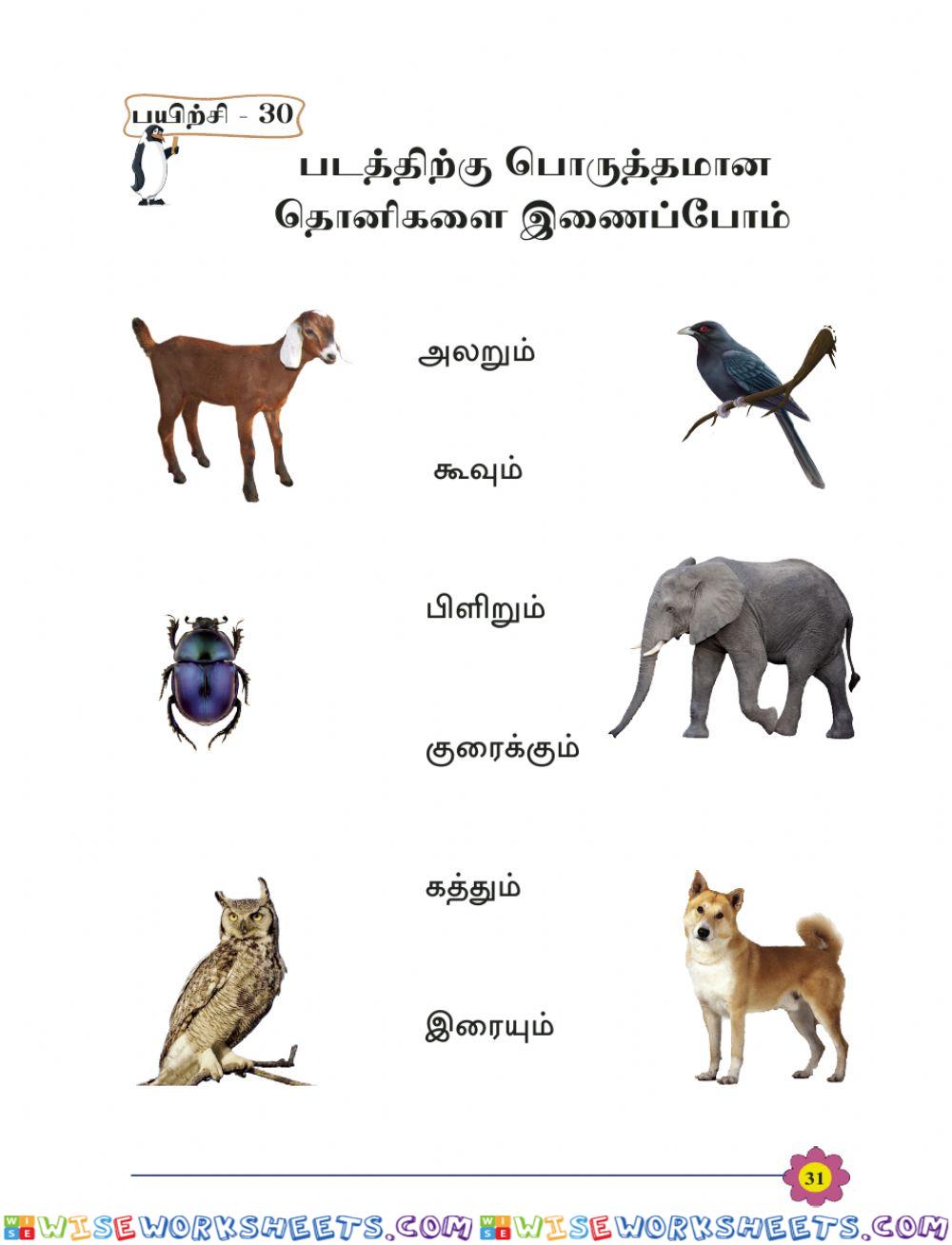 Tamil