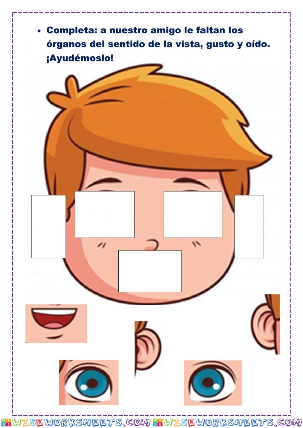 worksheet