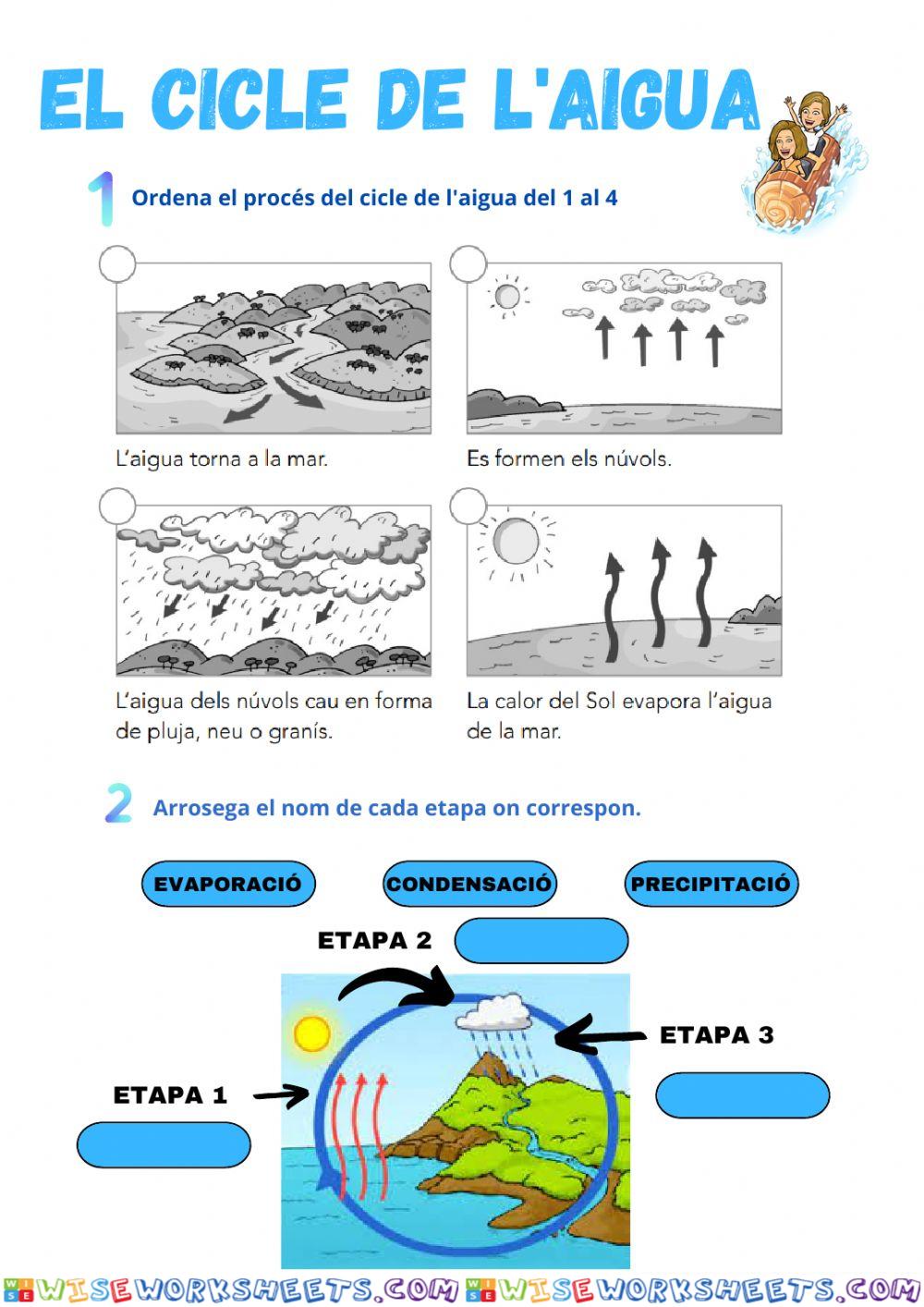 El cicle de l'aigua