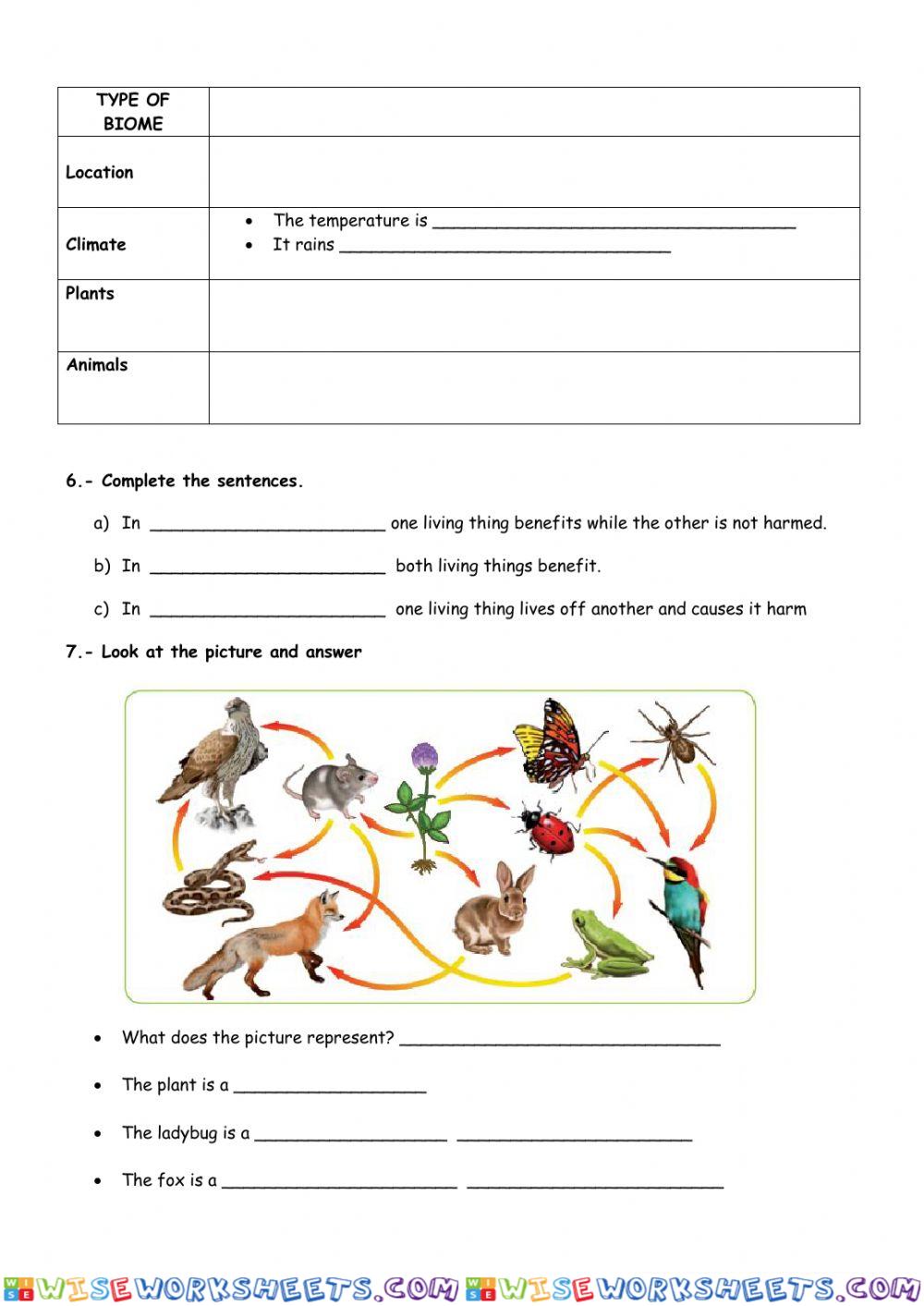worksheet