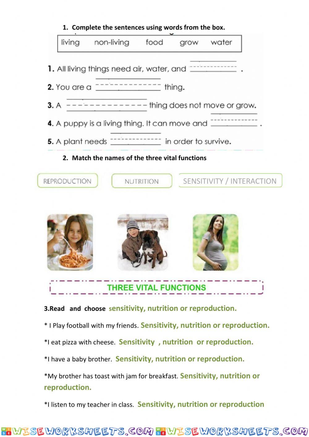 Living things and vital functions
