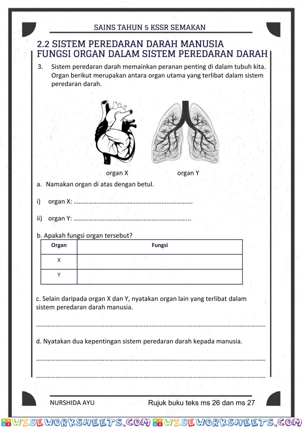 Sistem rangka manusia