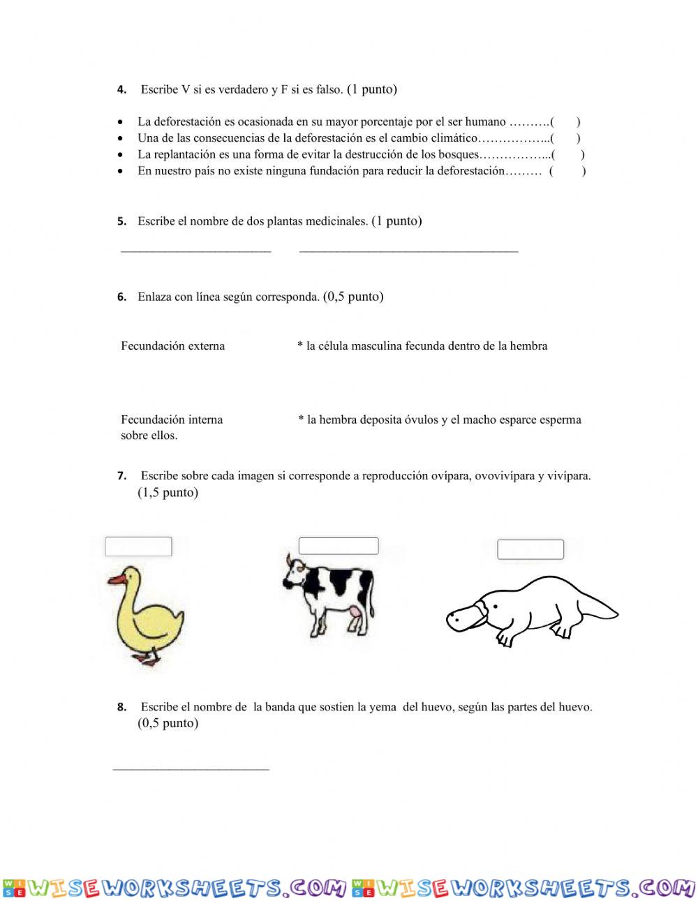 worksheet