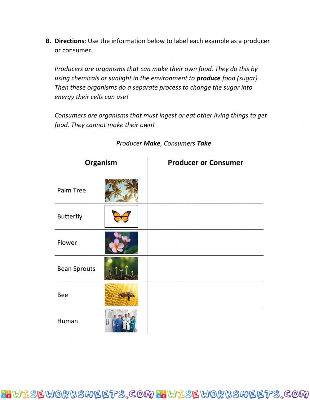 worksheet