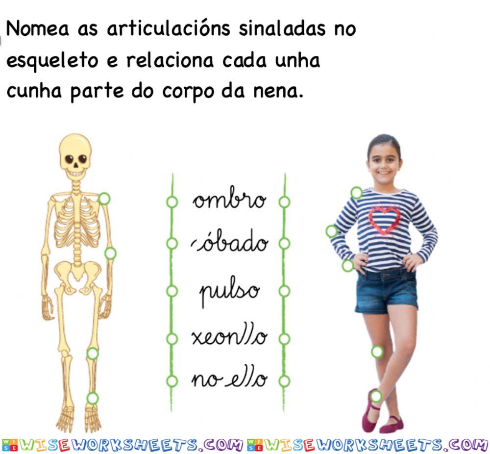 Articulacións