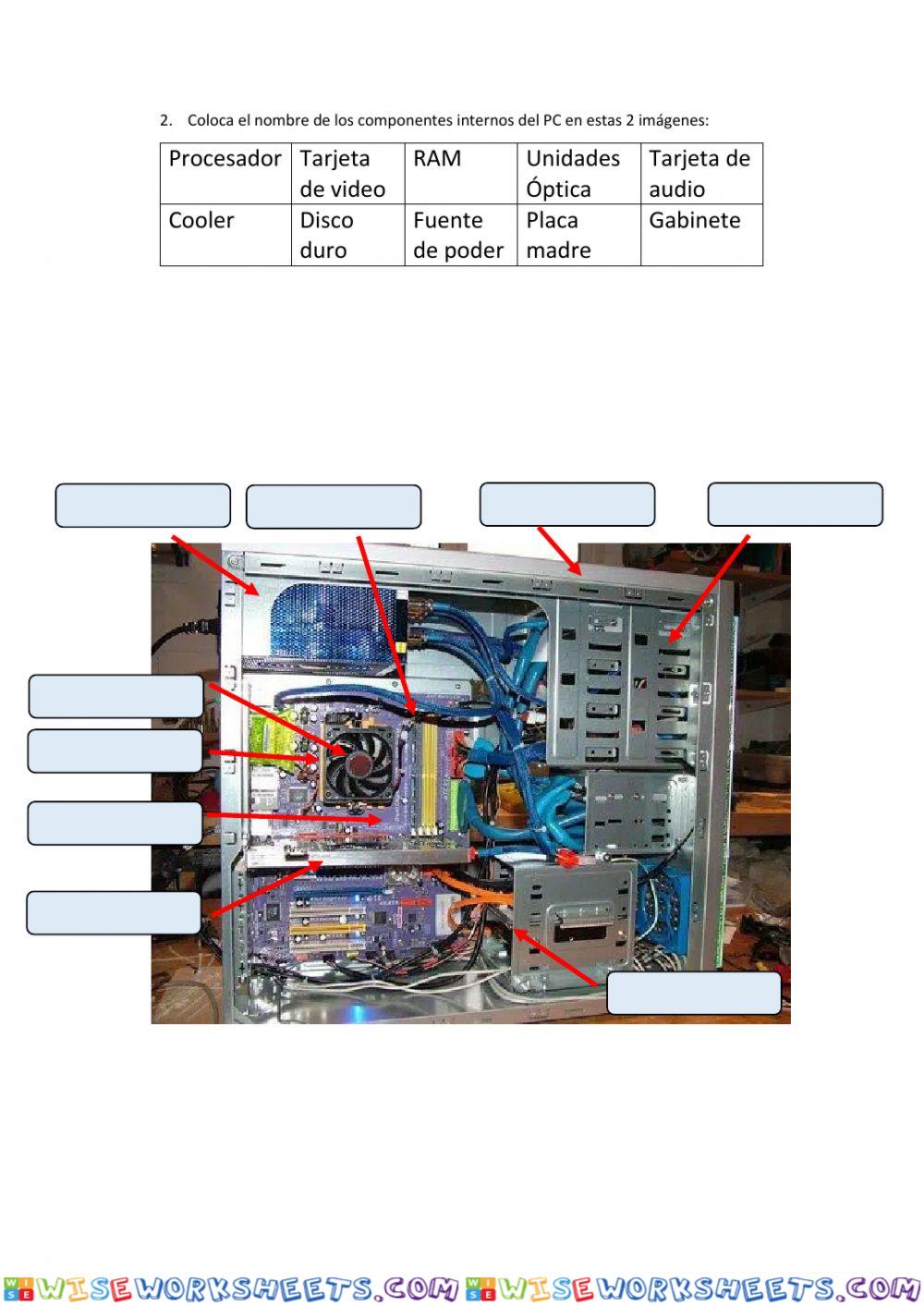 worksheet