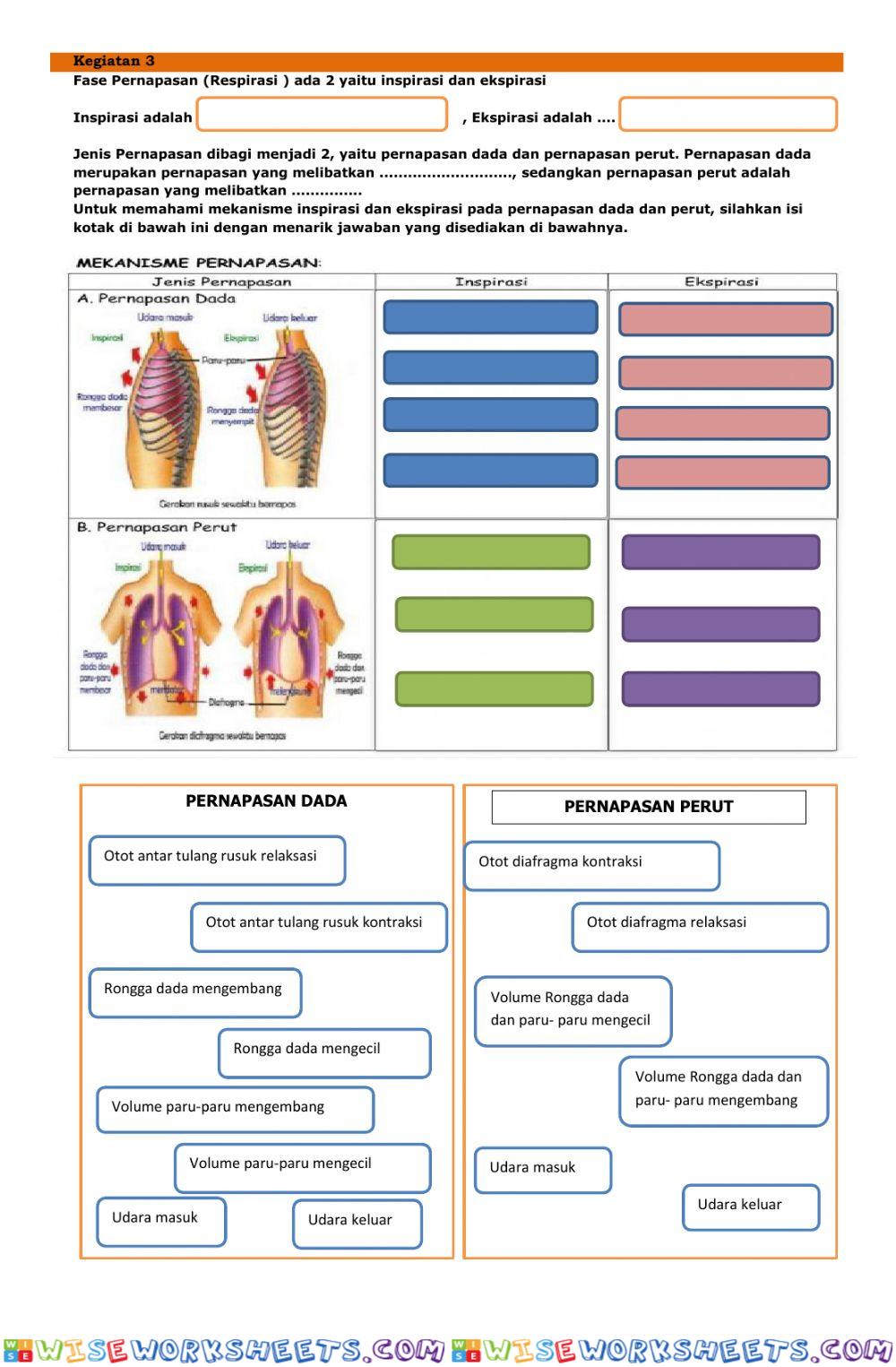 worksheet