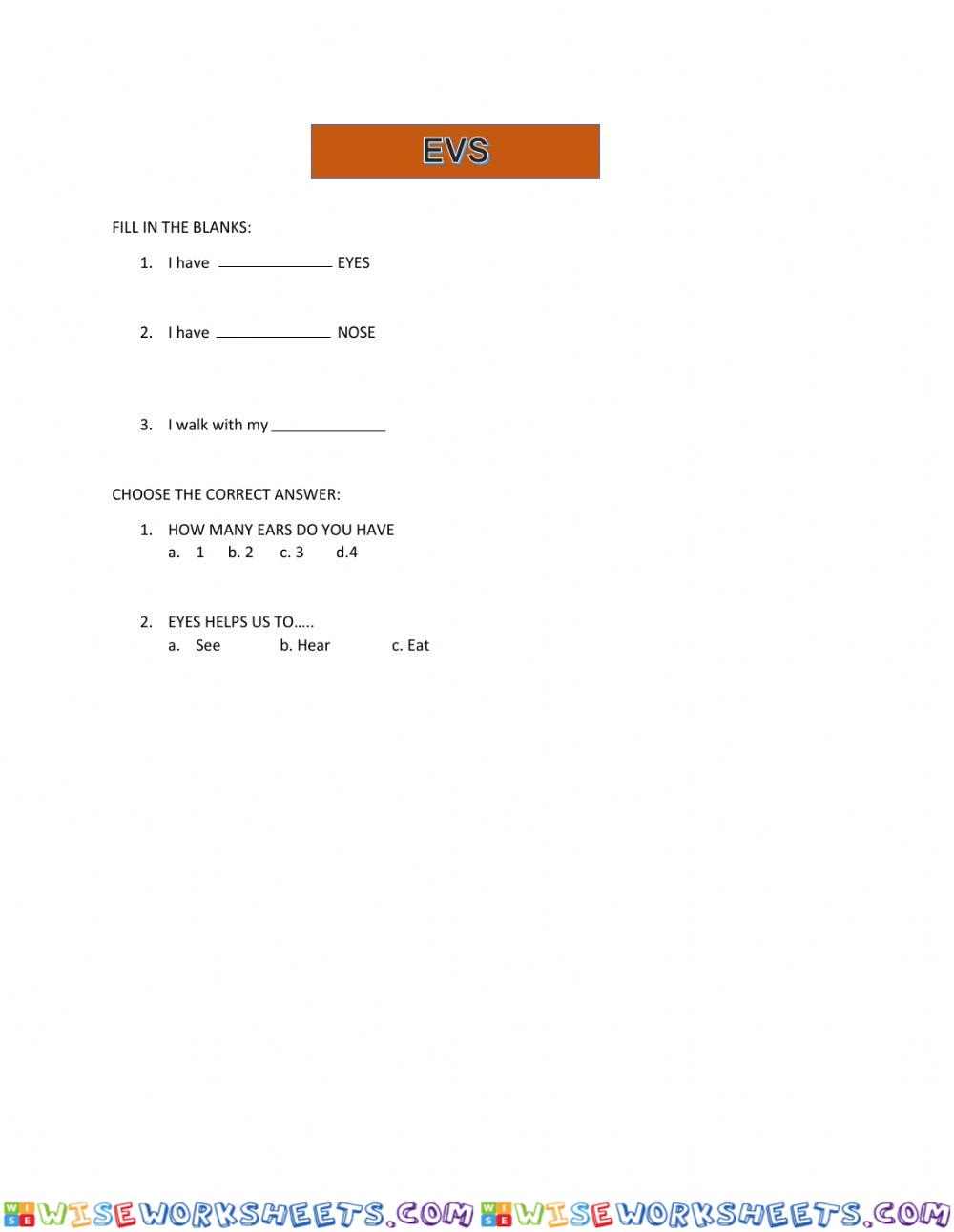 worksheet