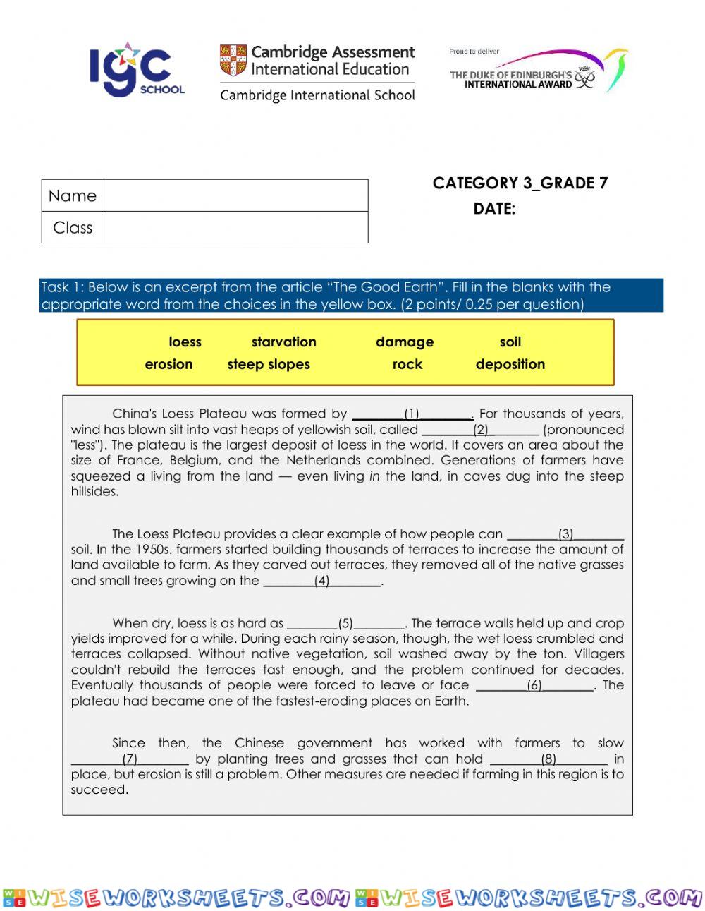 Category 3 for Grade 7