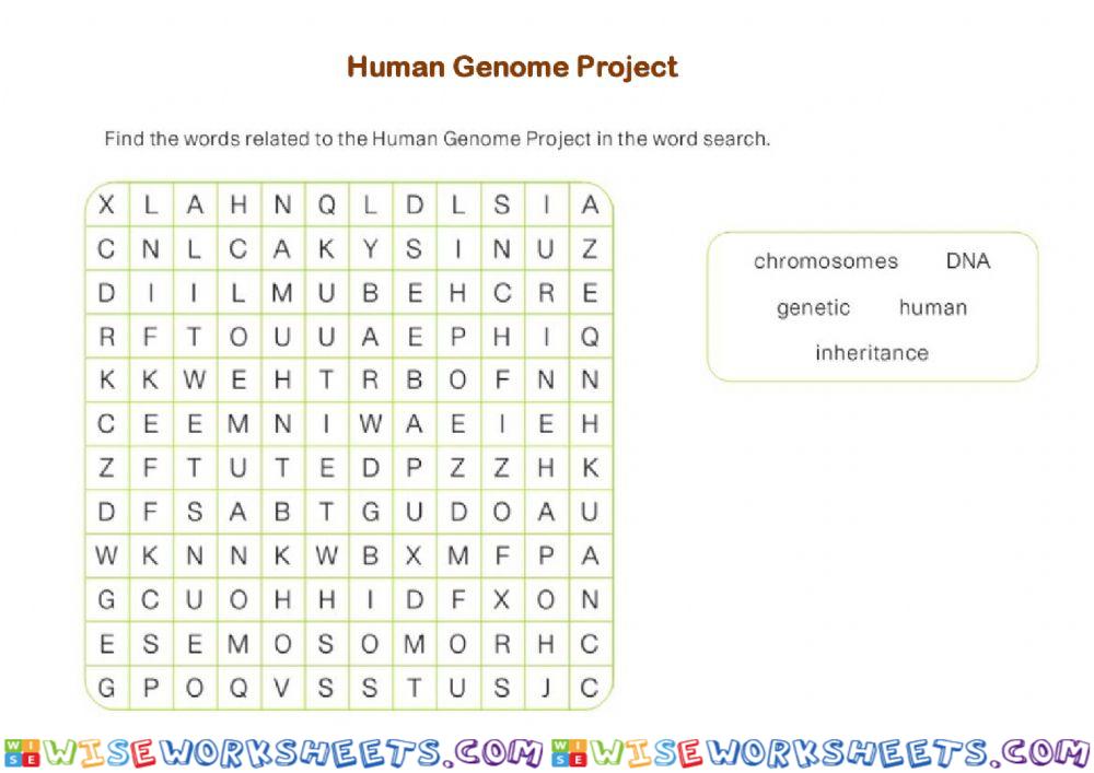 Human genome
