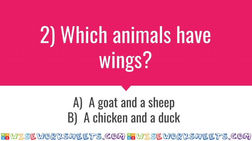 worksheet