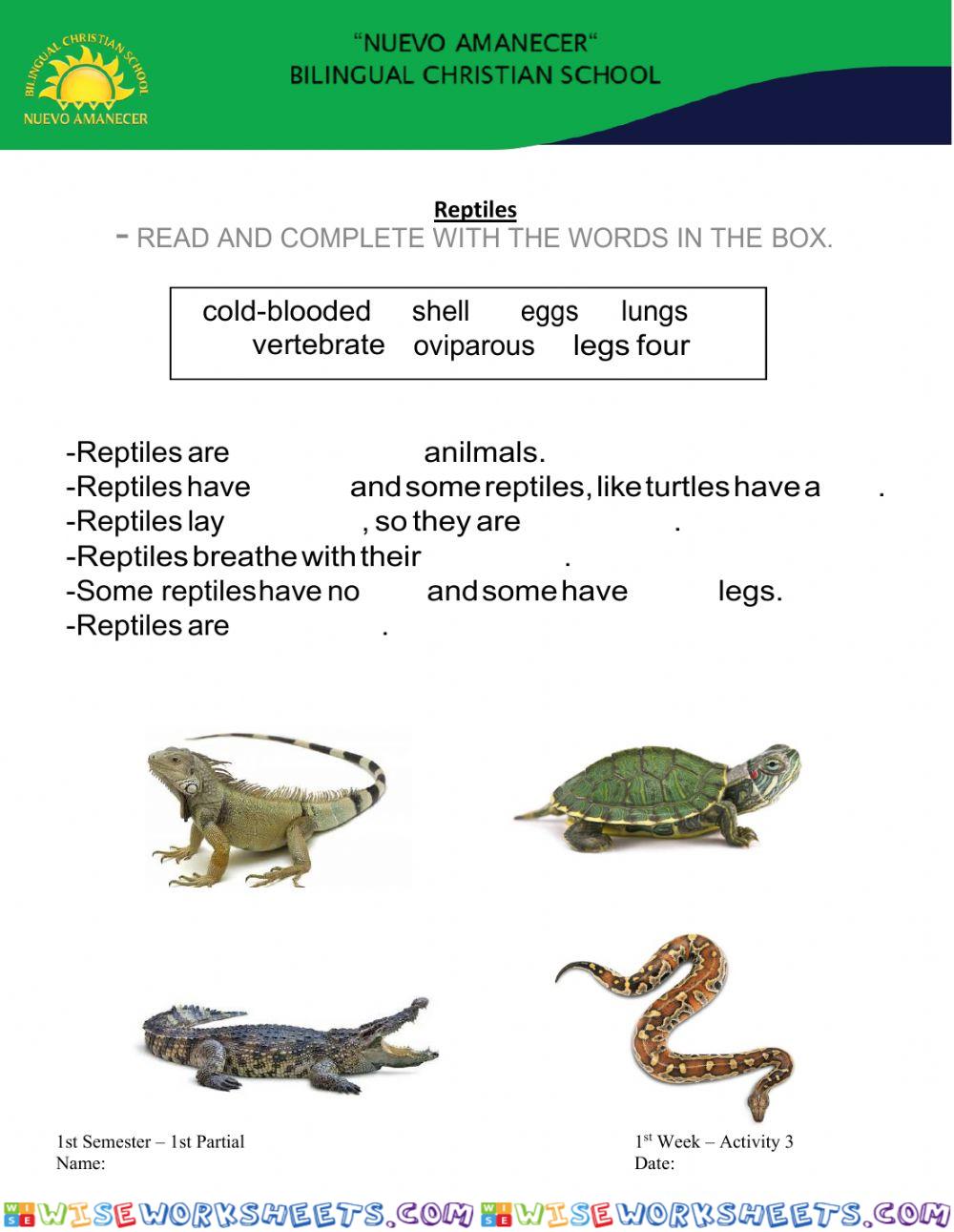 Reptiles