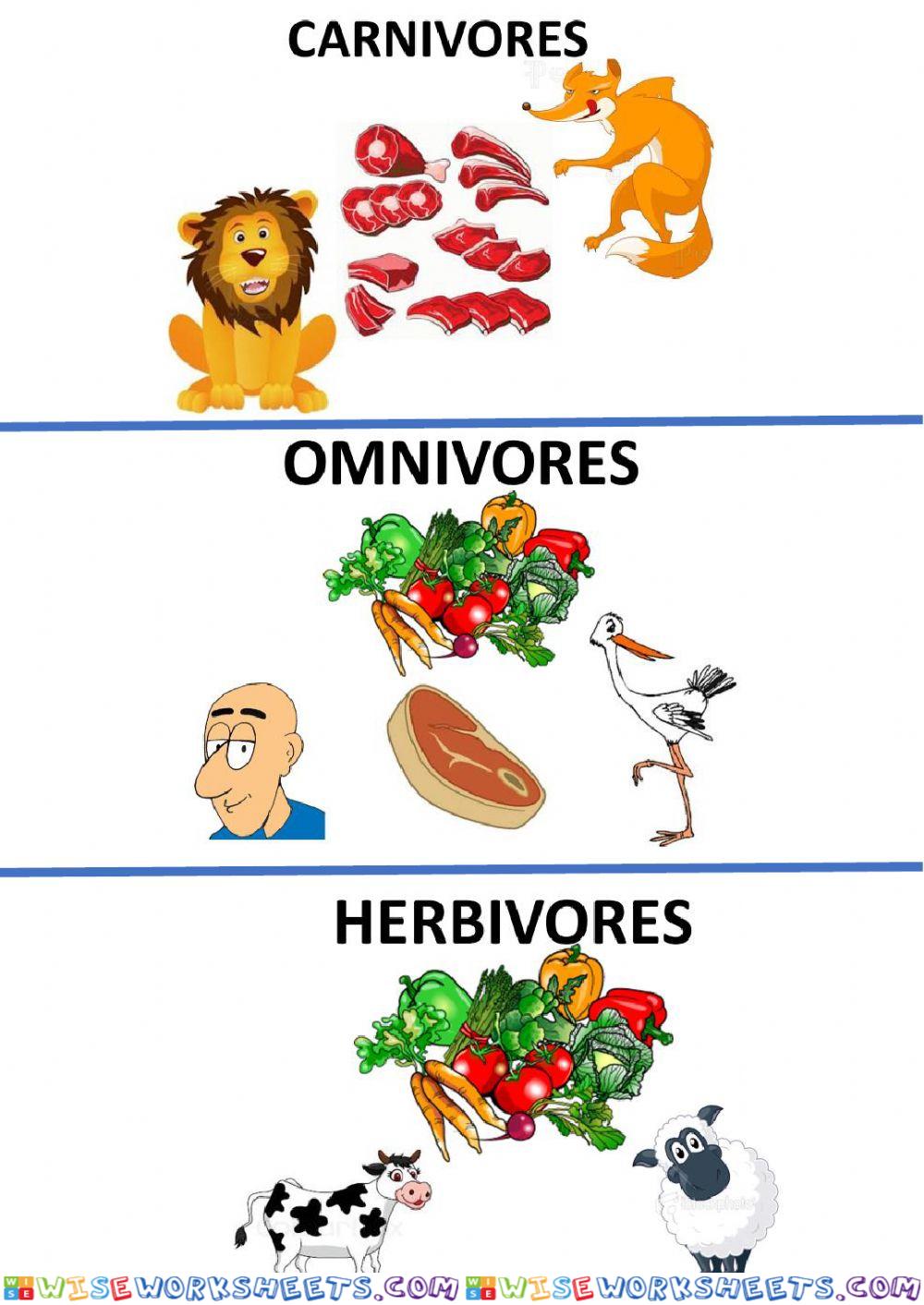 Omnivores, carnivores, herbivores