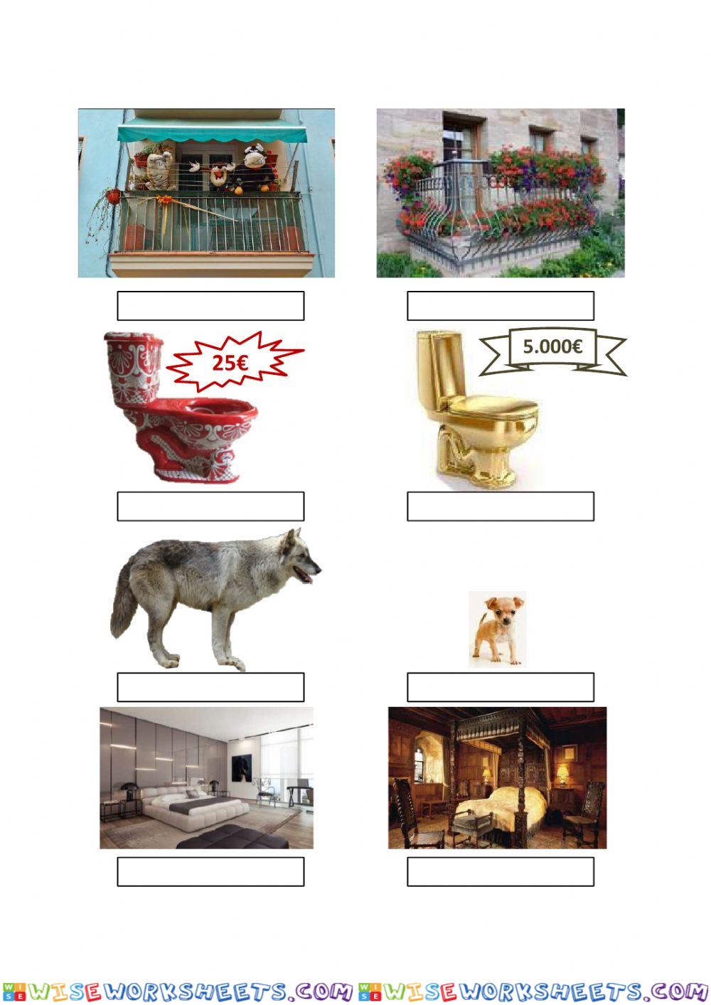 worksheet