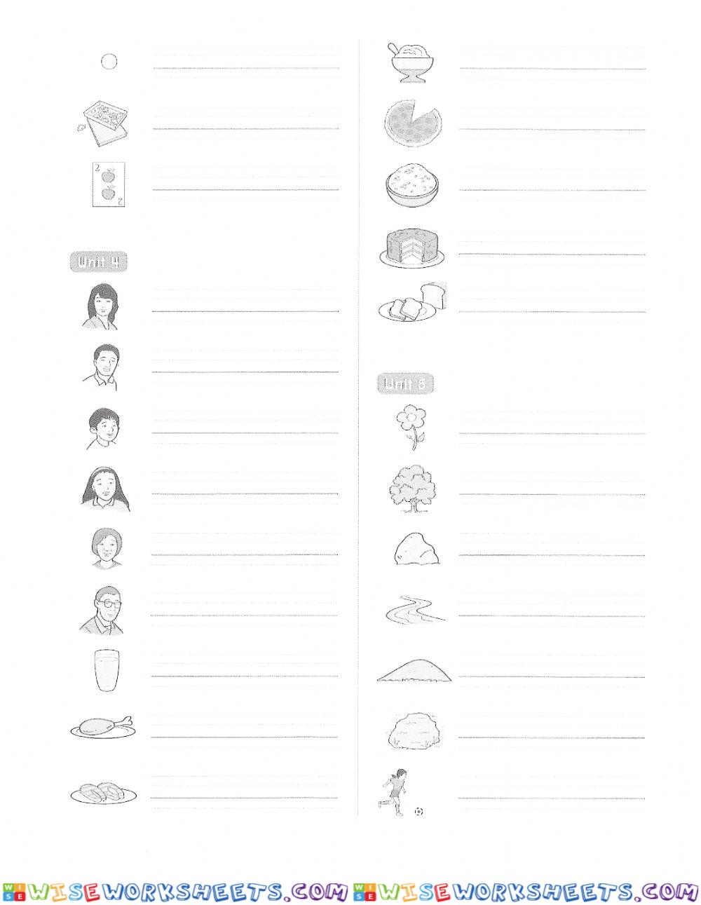 worksheet