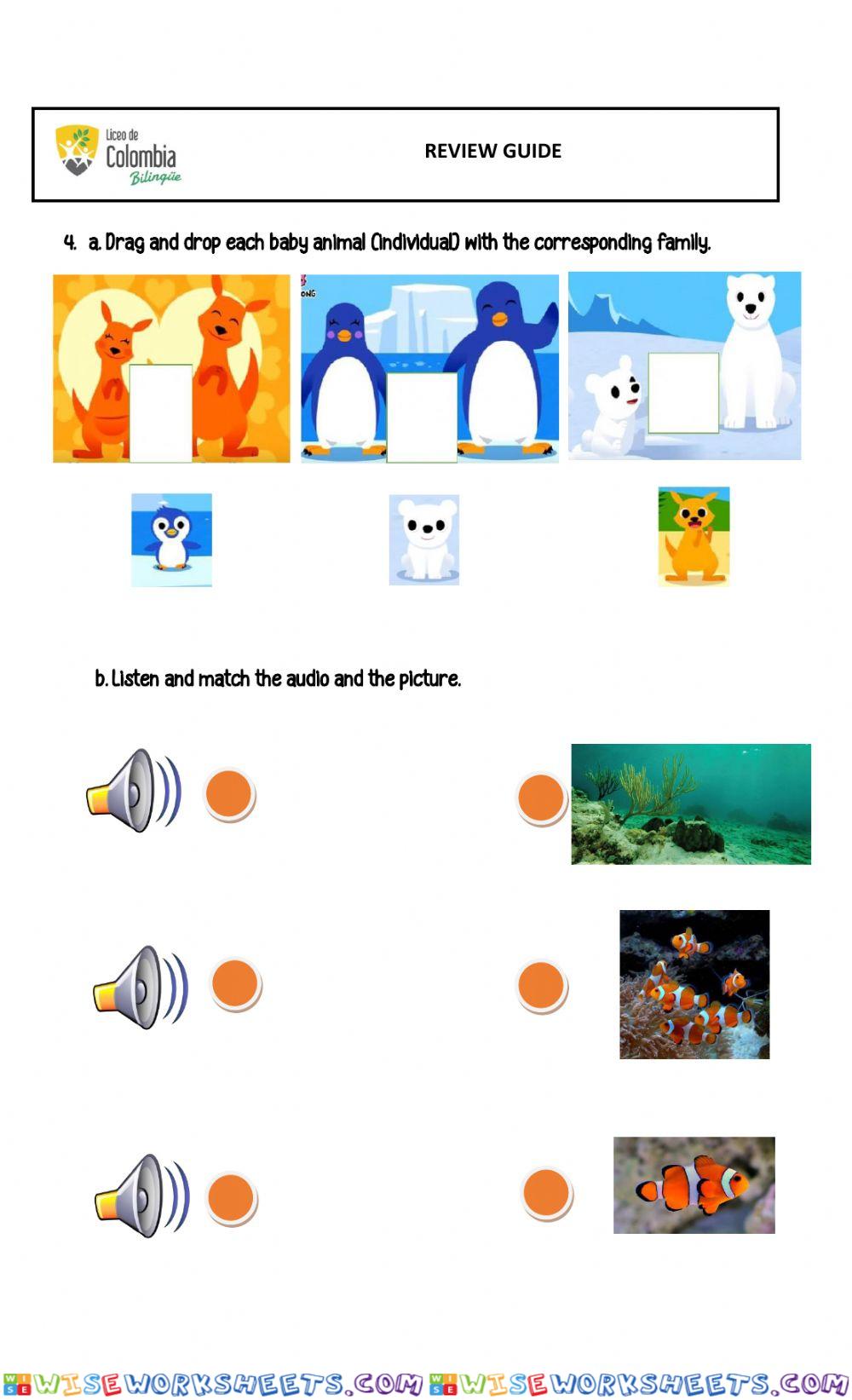Animals organization