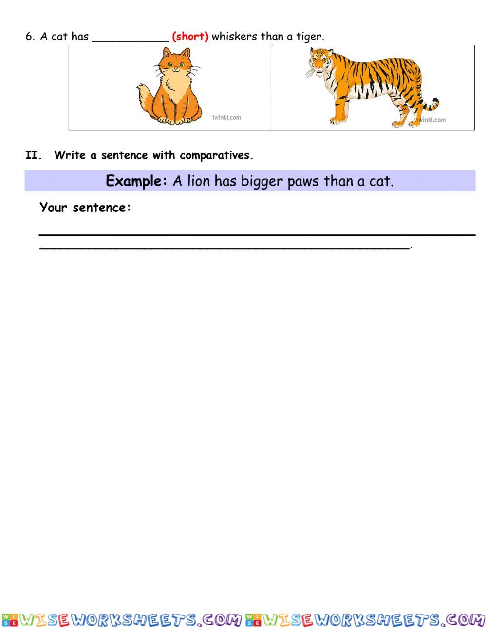 worksheet