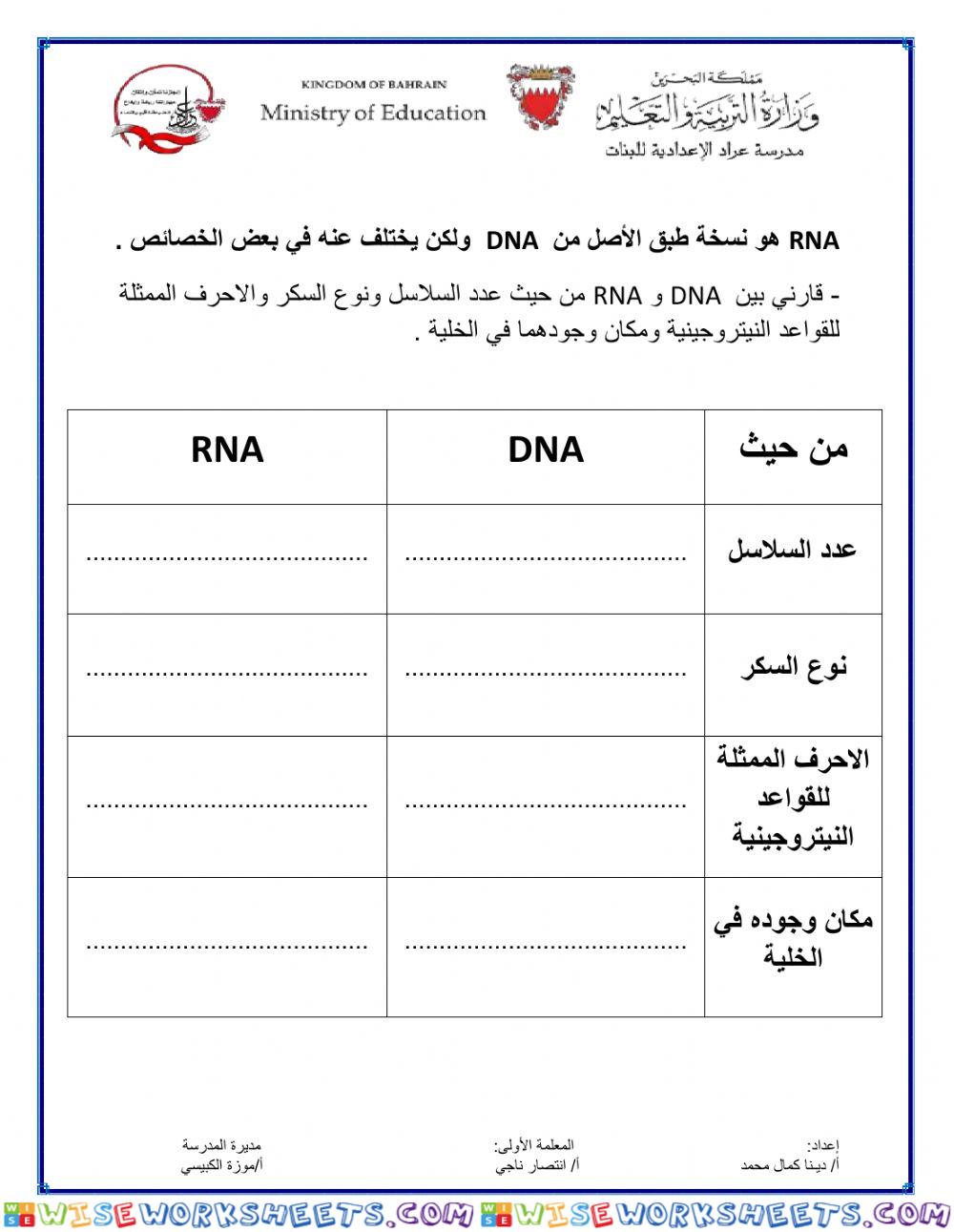 Rna