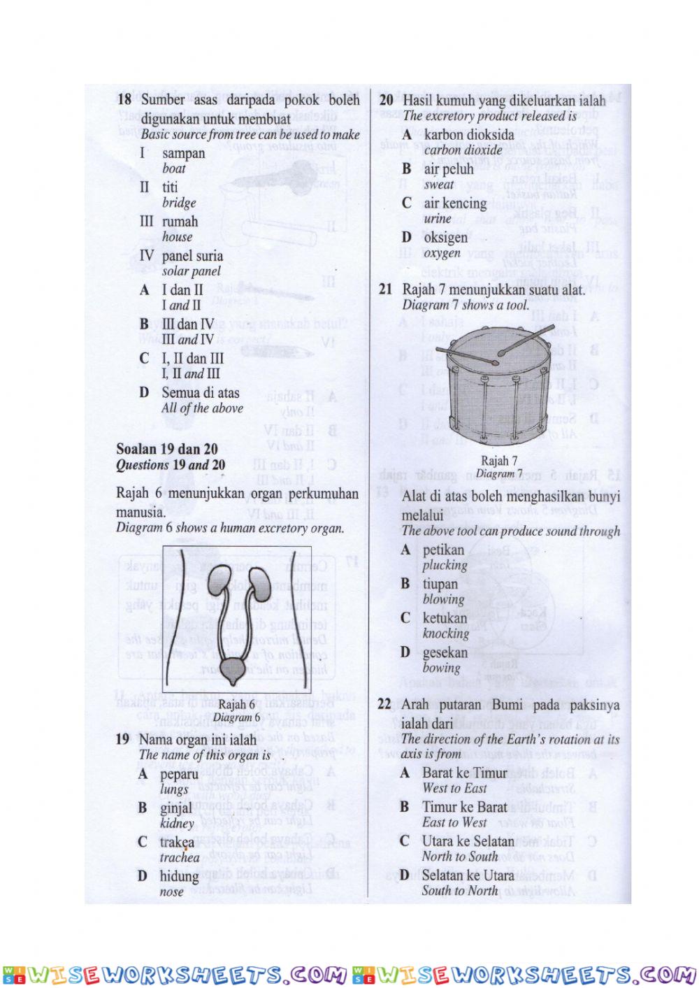 worksheet
