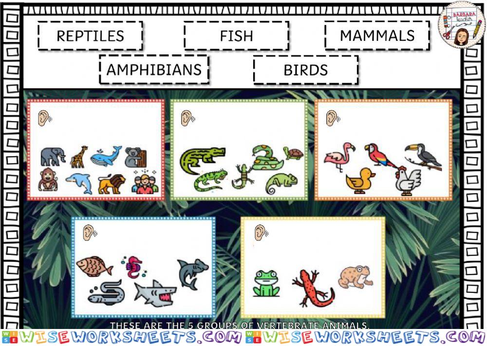 Vertebrate animals