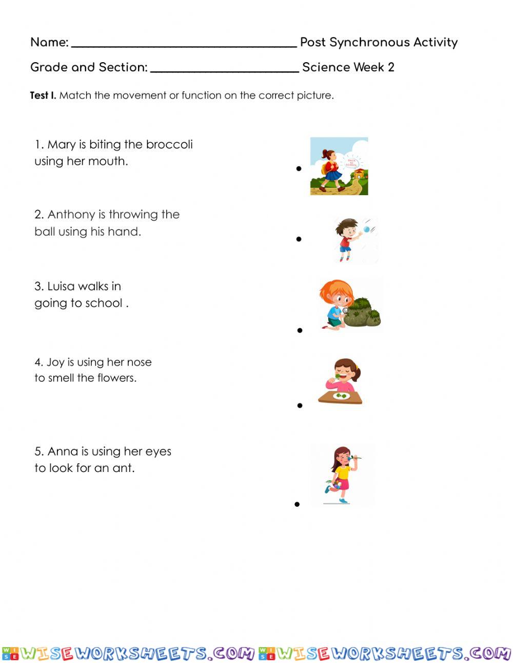 Parts of the Body (Functions and movements)