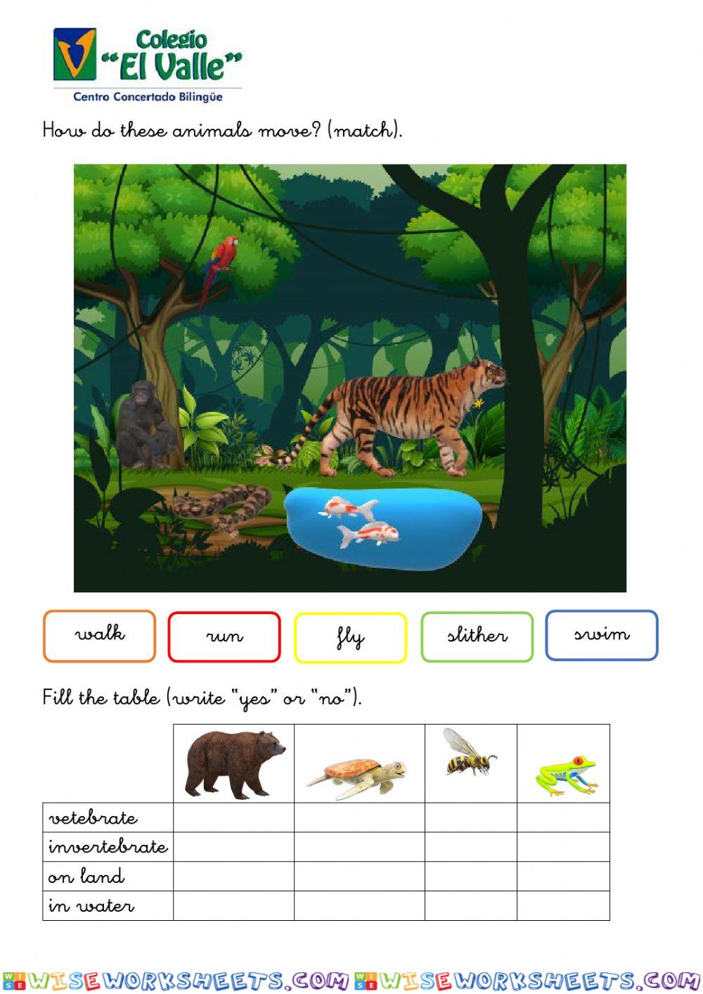 worksheet