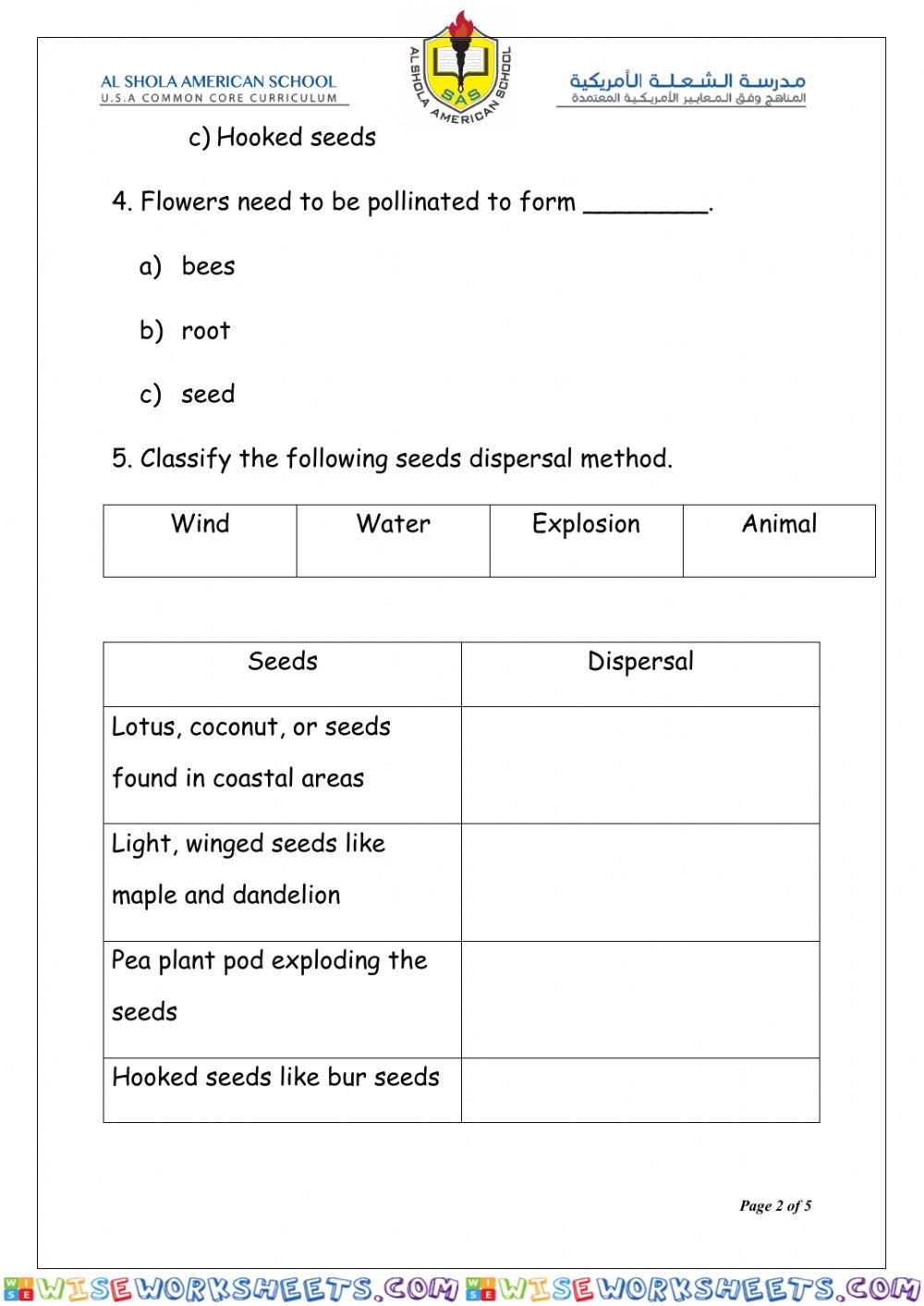 worksheet