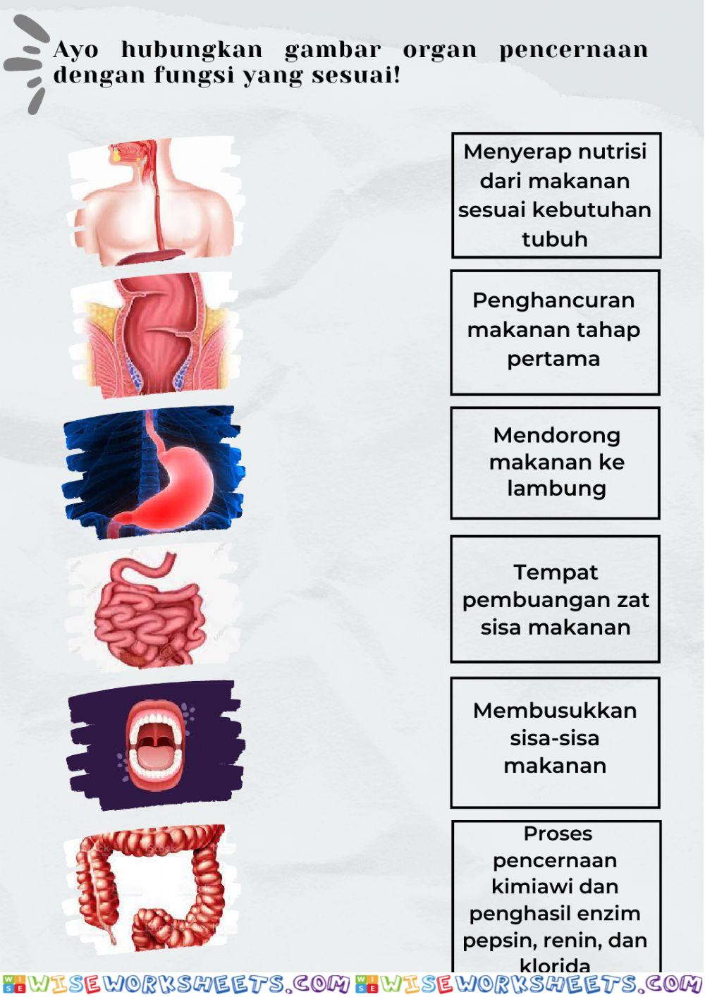 worksheet