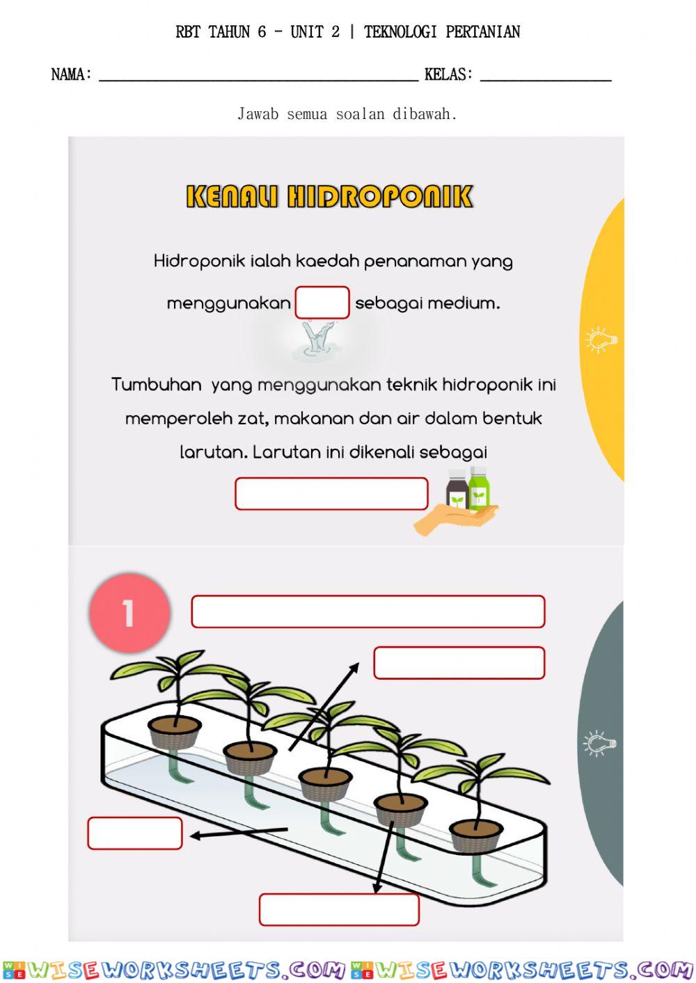 Hidroponik