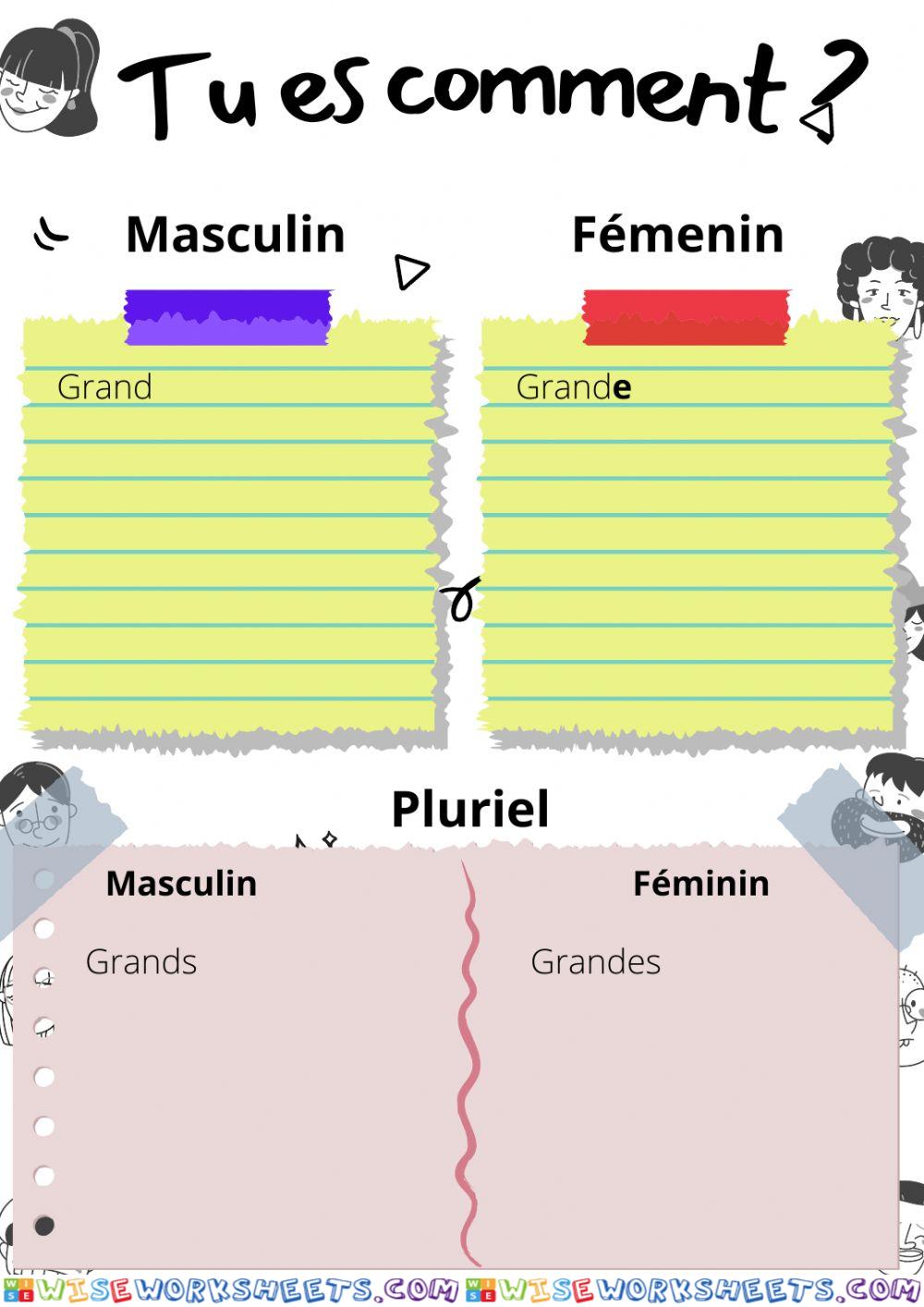 Adjectifs qualificatifs