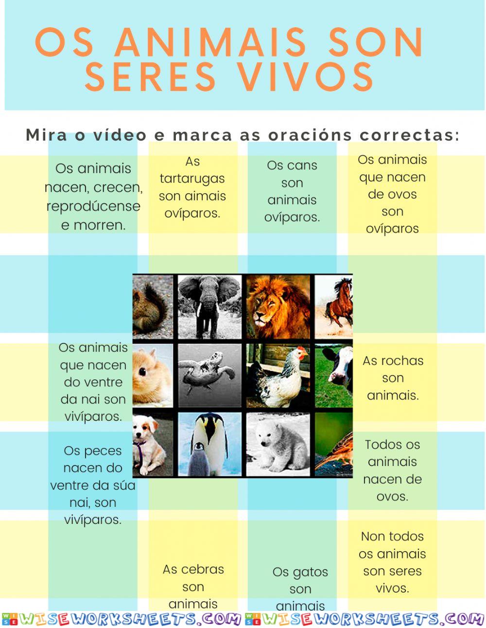 Os animais son seres vivos