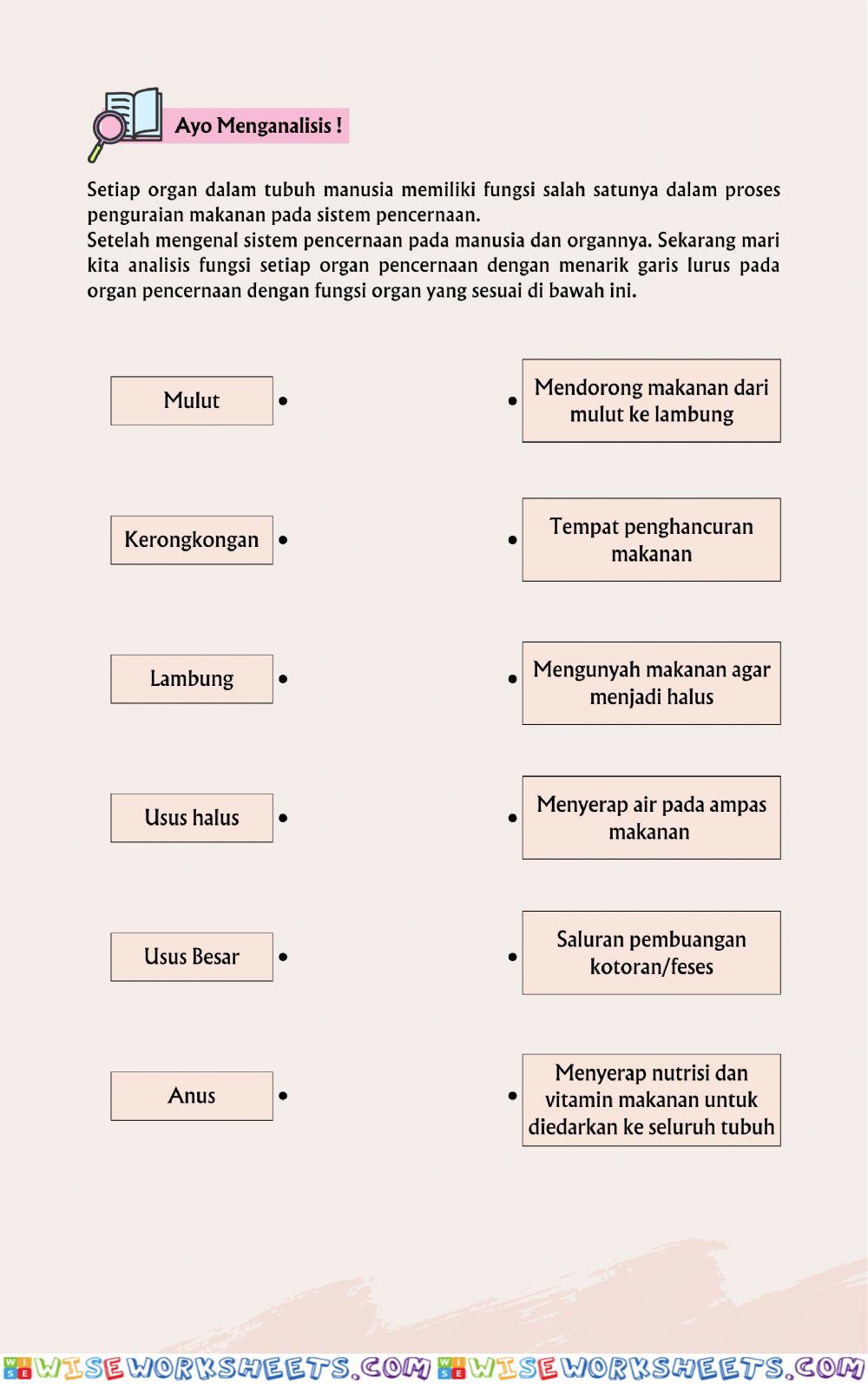 worksheet