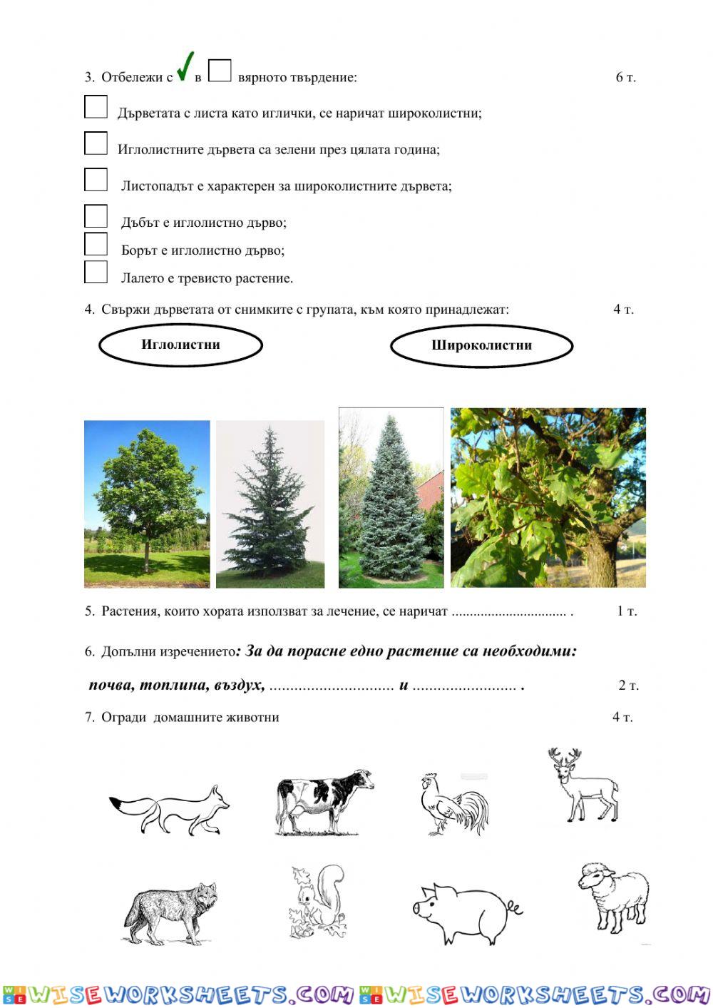 worksheet