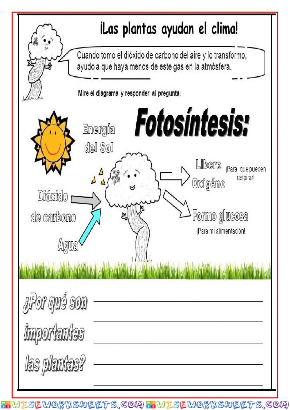 Fotsintesis