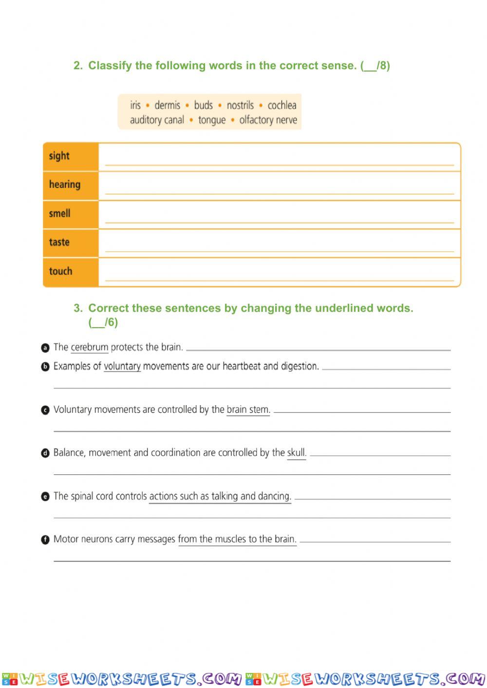 worksheet