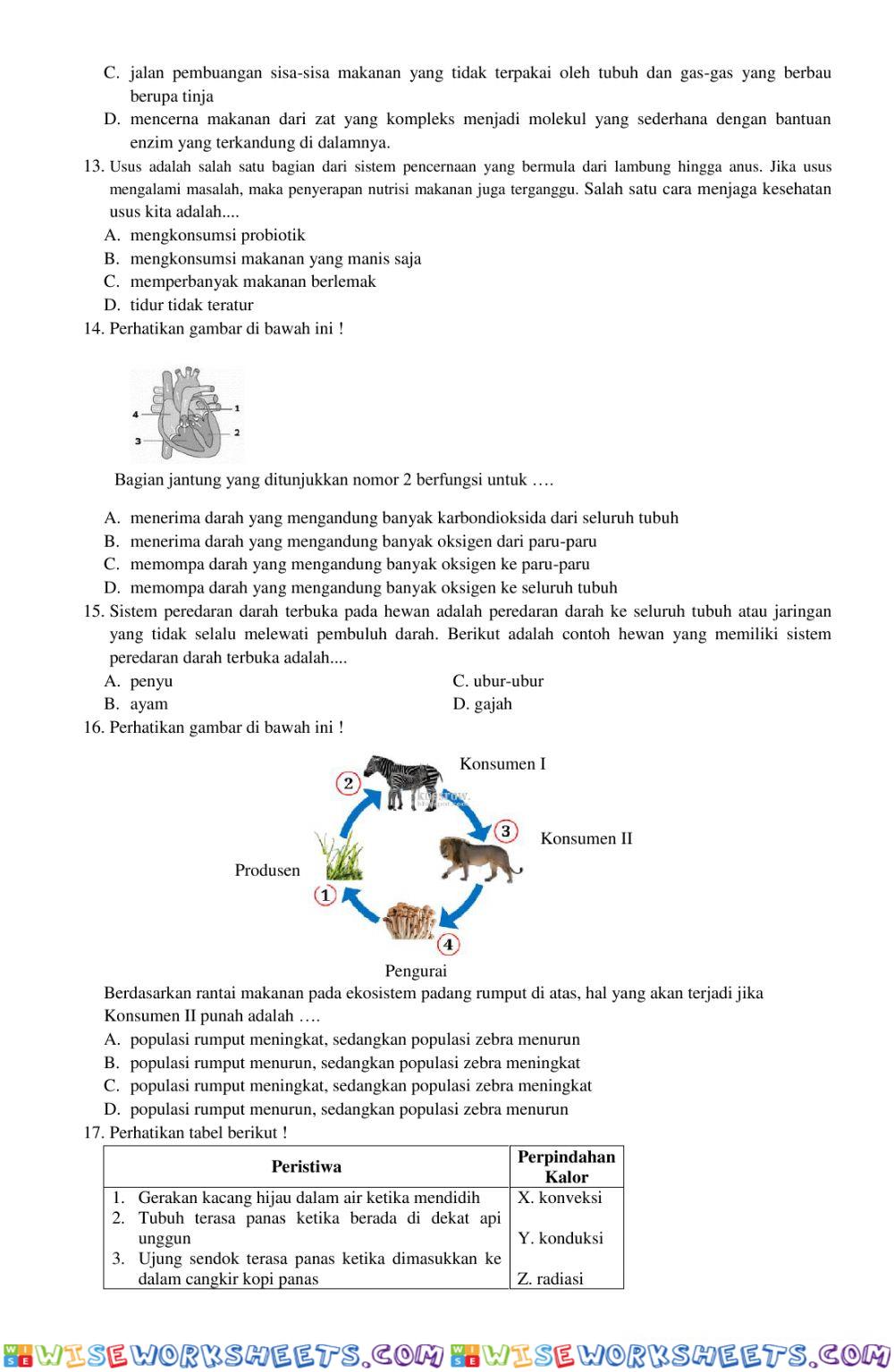 worksheet