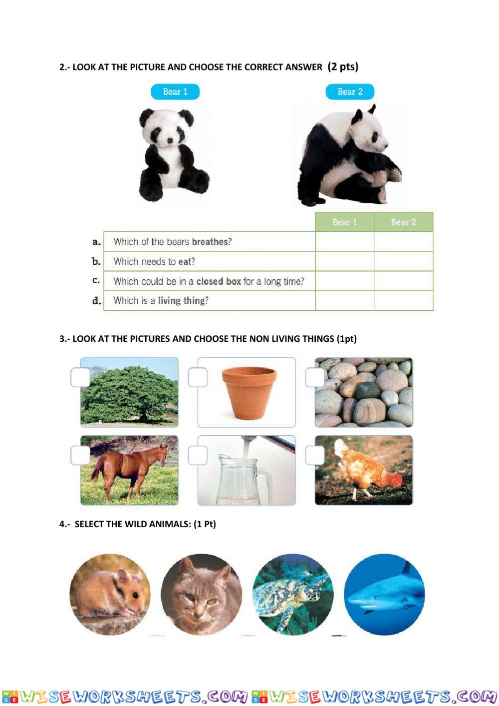 worksheet