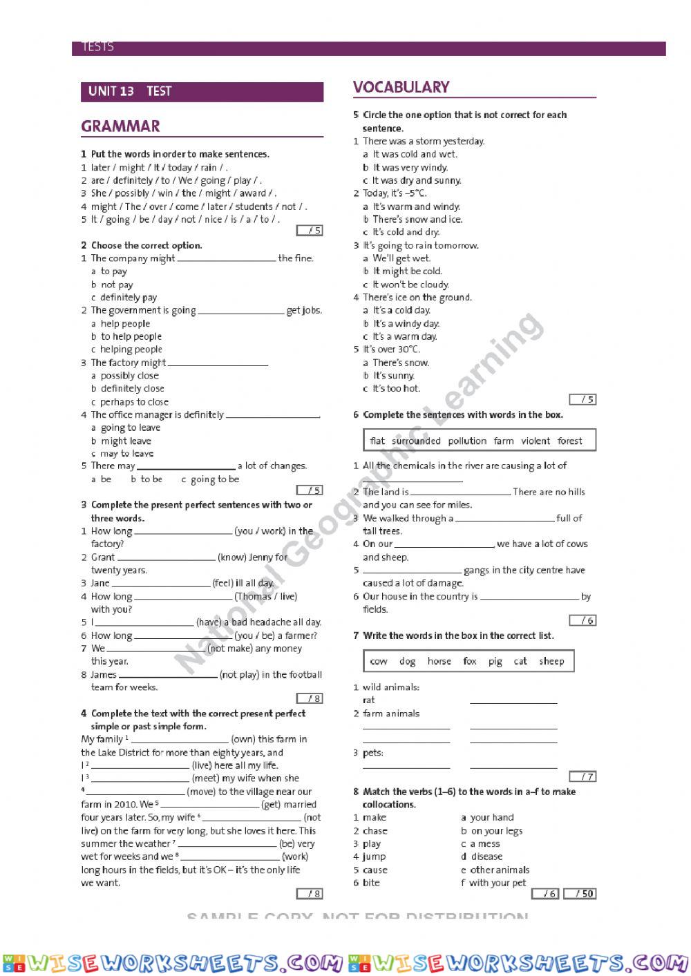 Test Unit 13