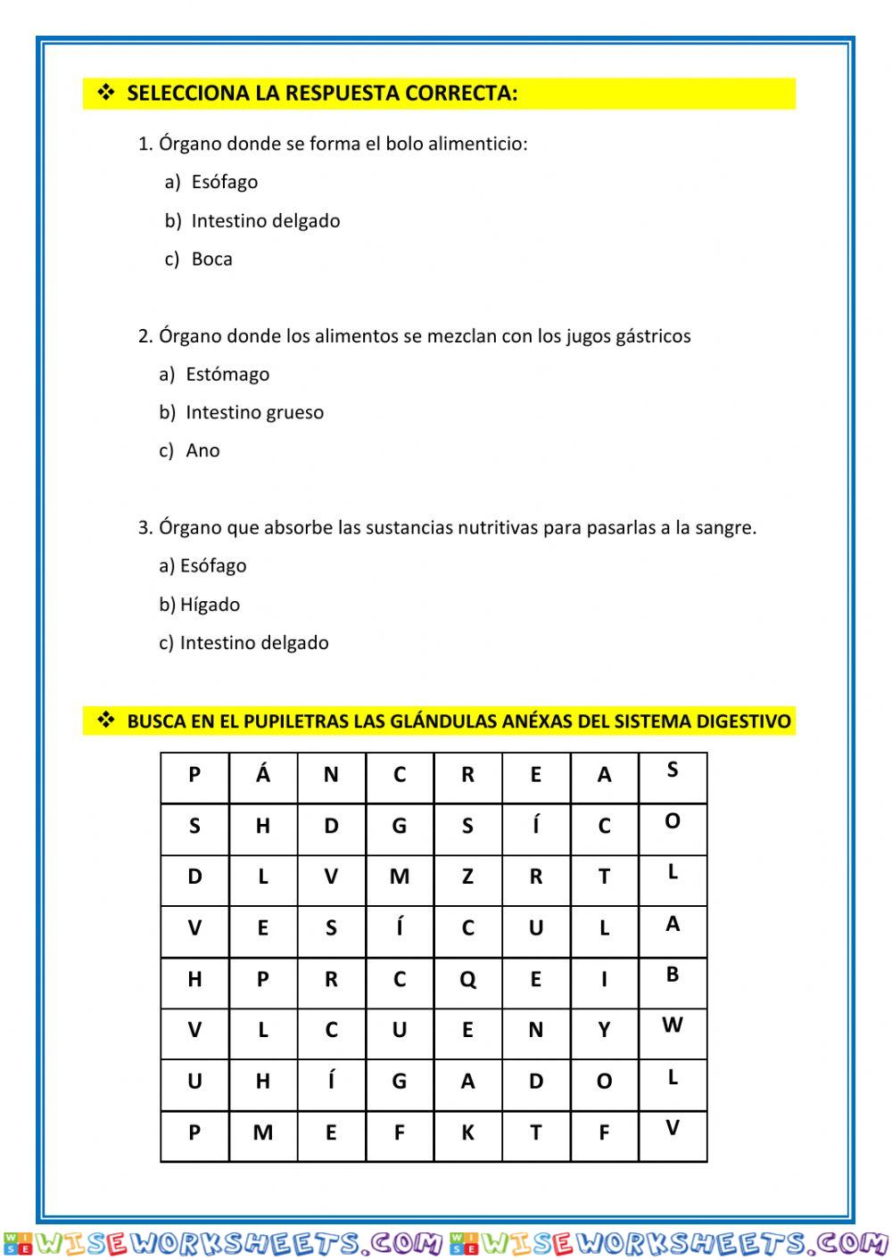 worksheet