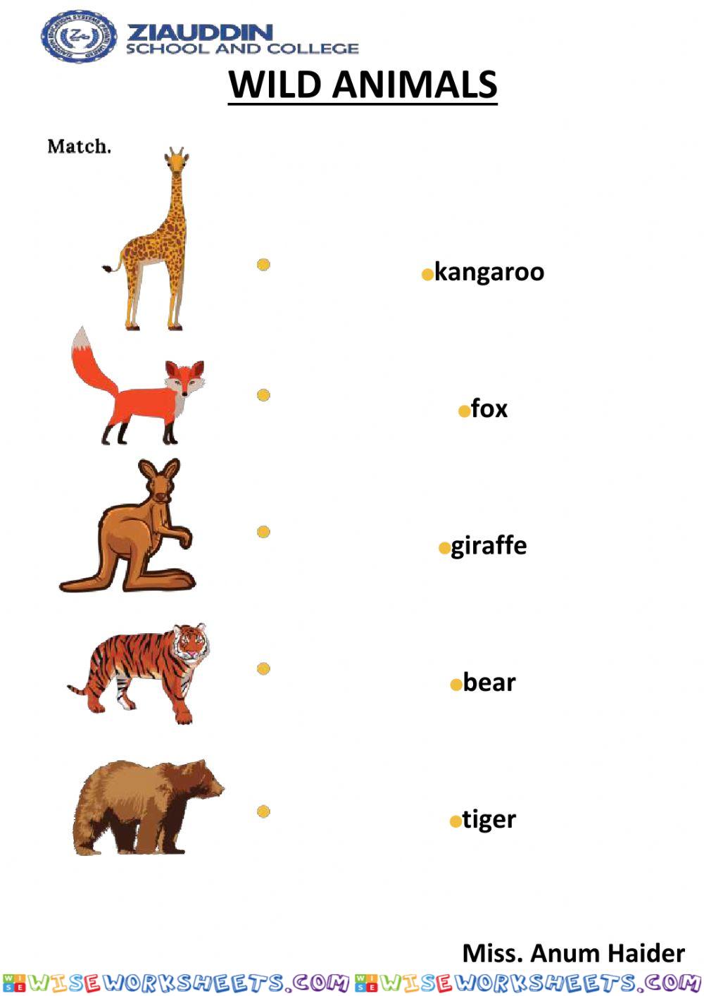 worksheet