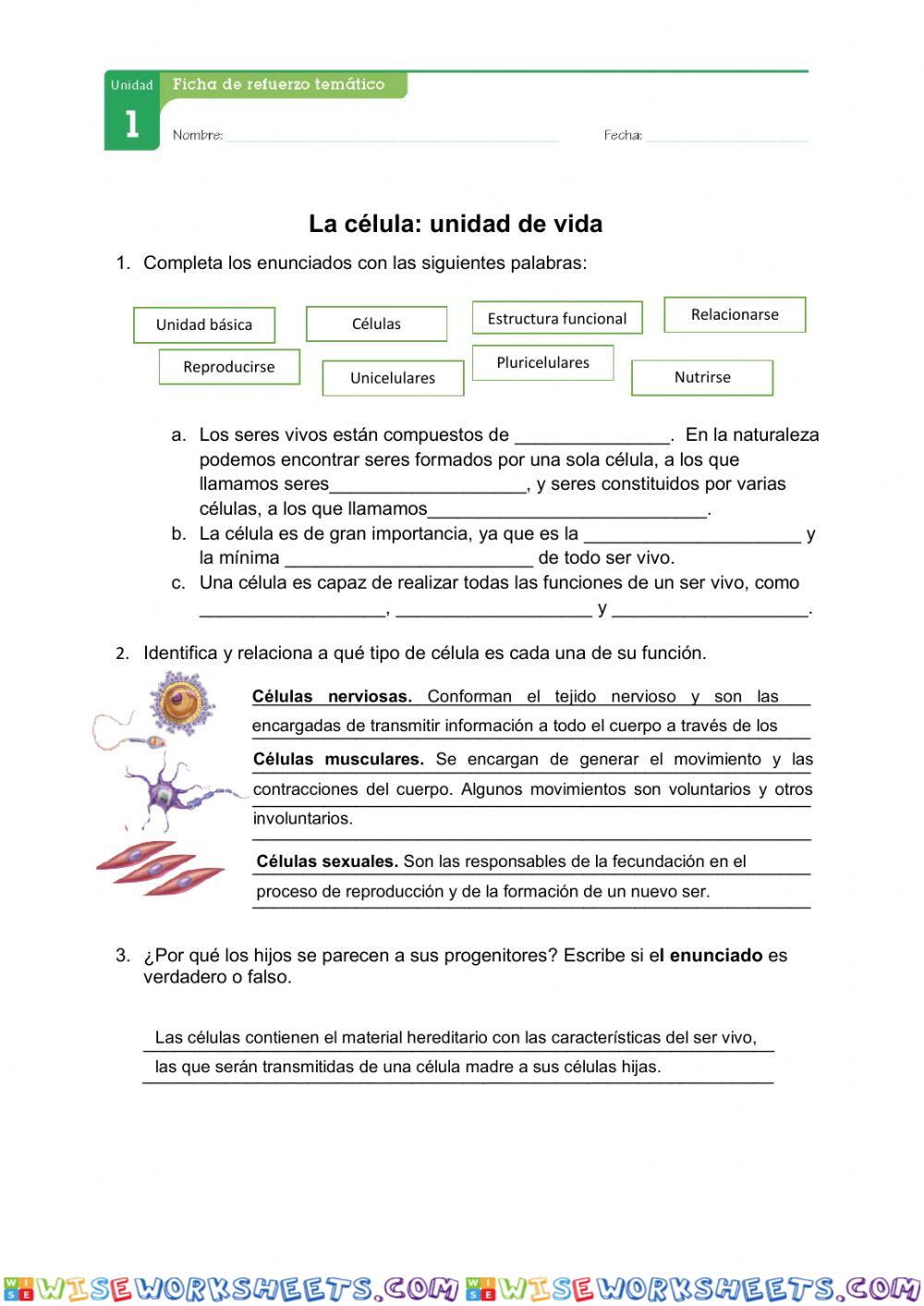 La célula:unidad de vida