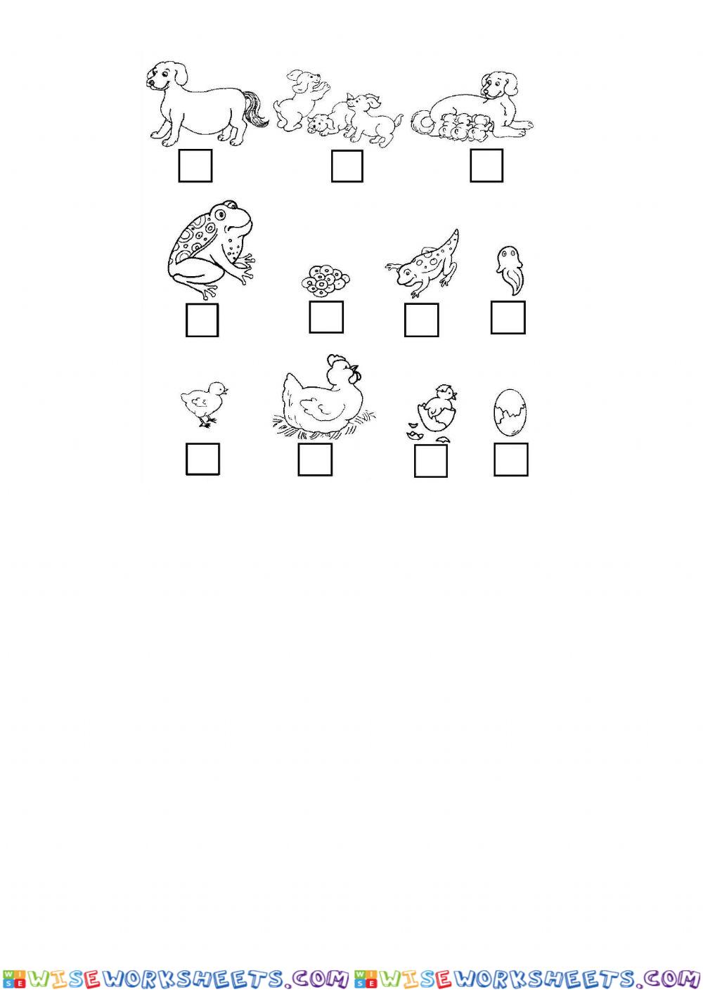 worksheet