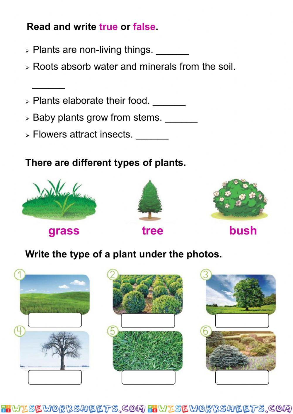 worksheet