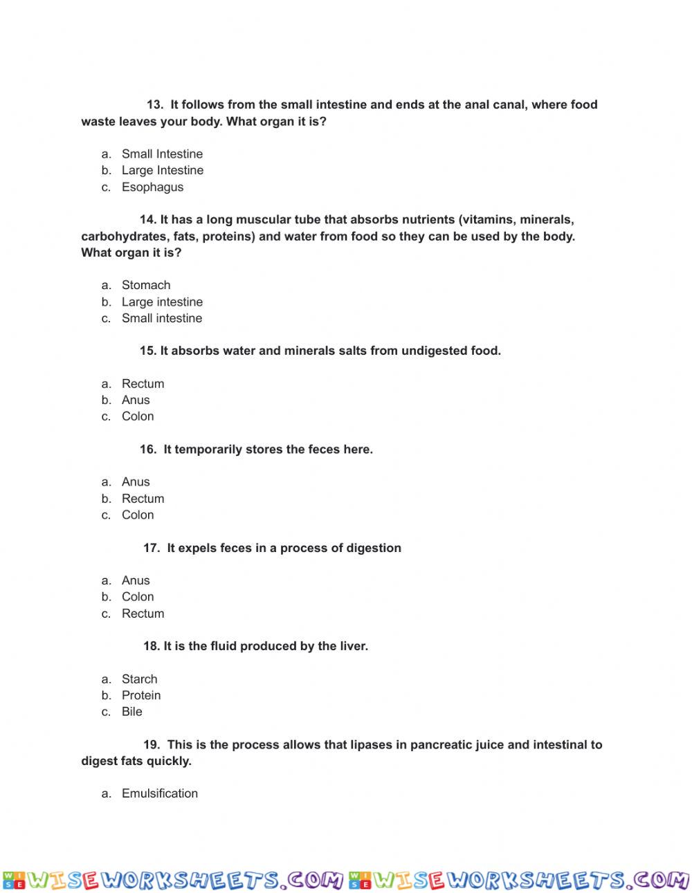 worksheet