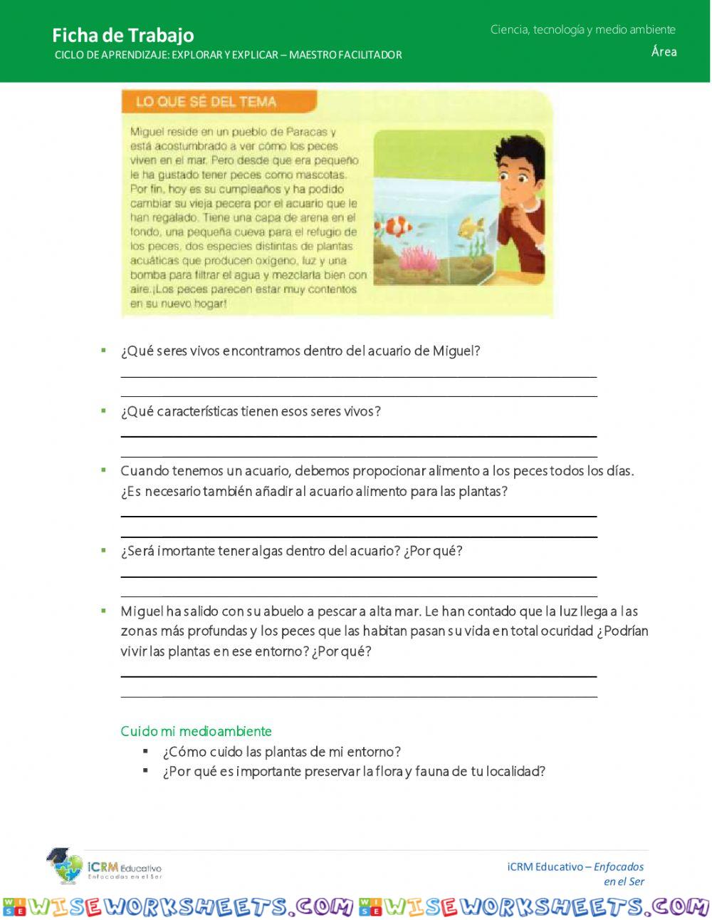 worksheet