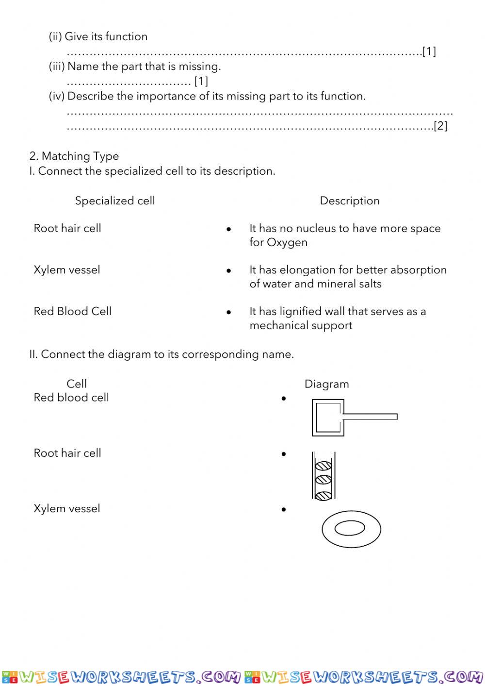 worksheet